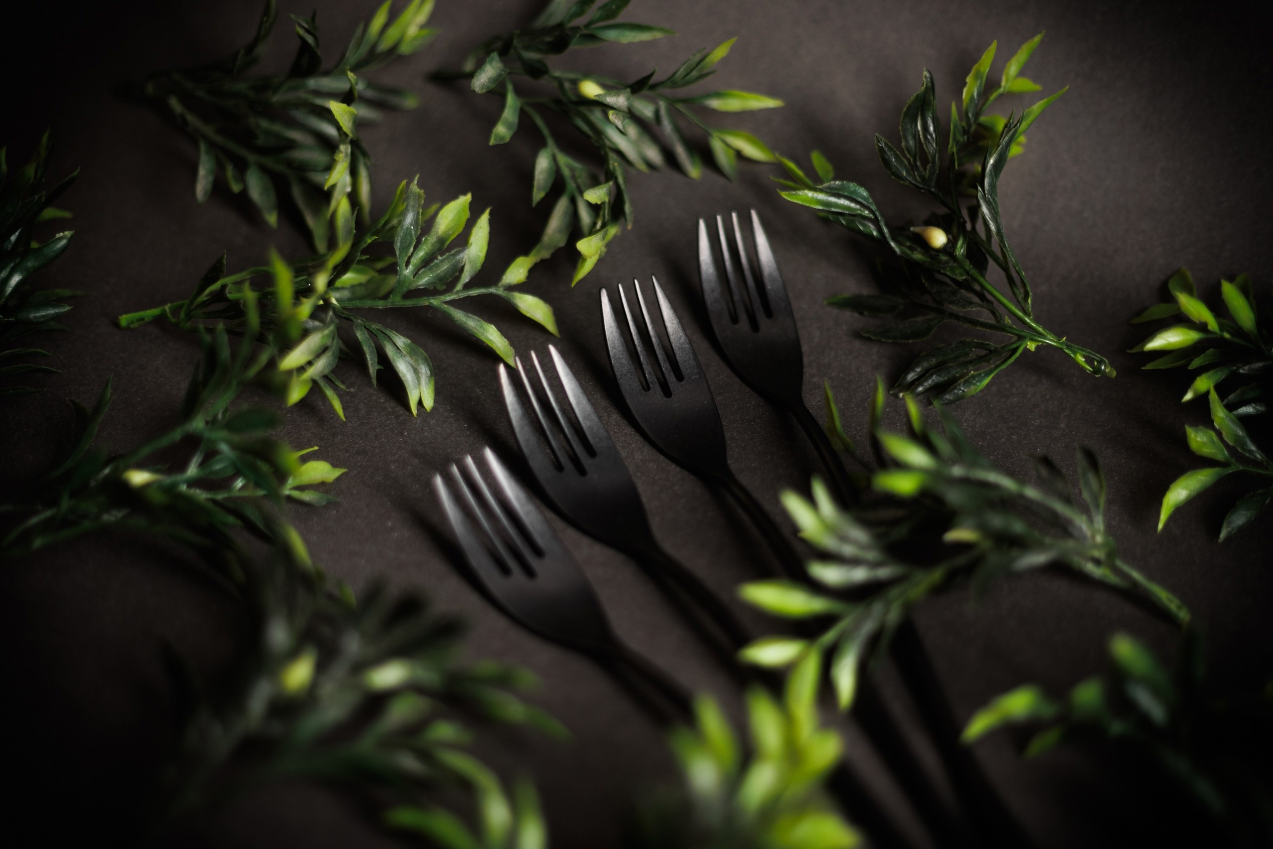 Предметная Фотосъемка