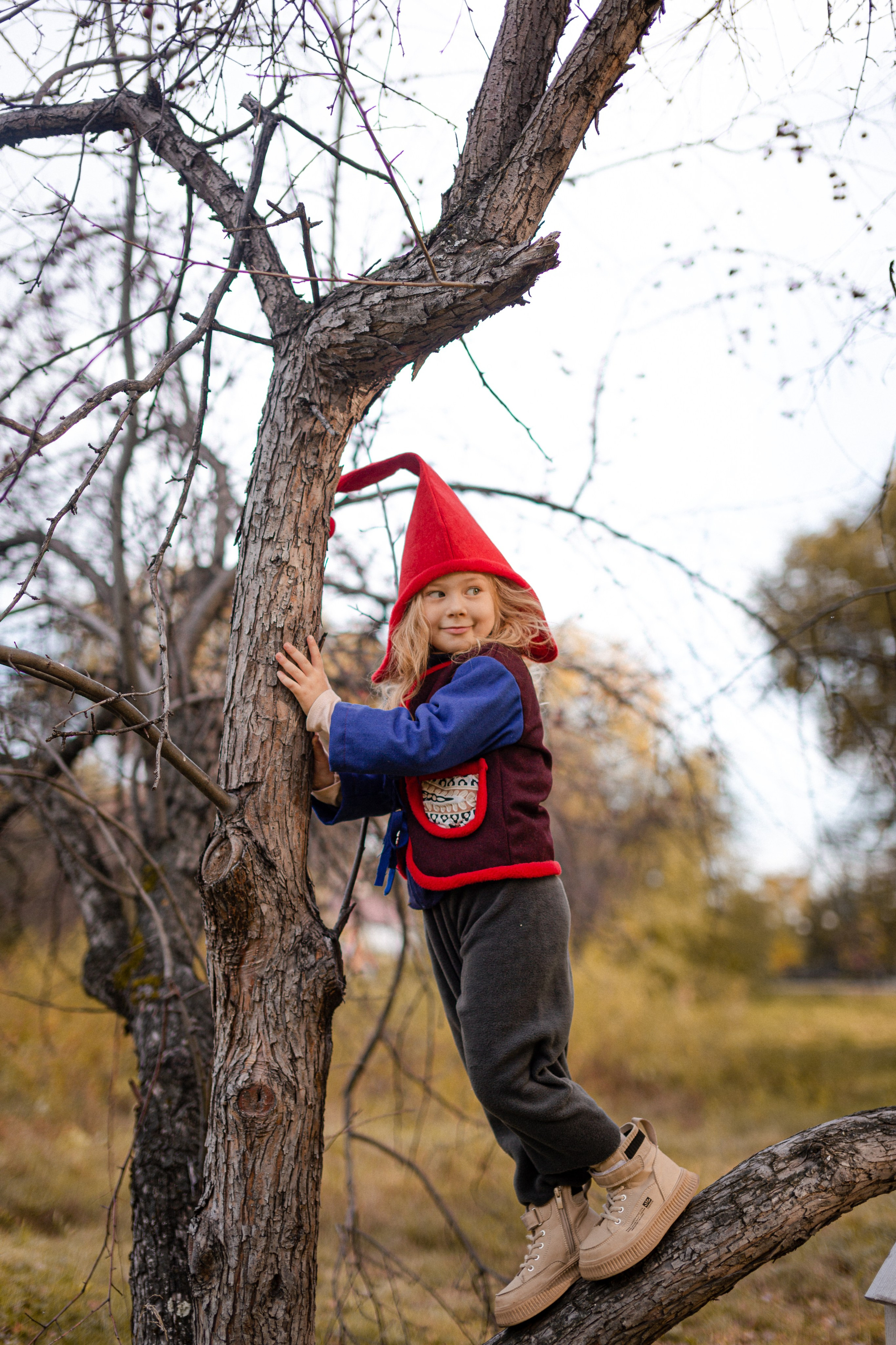 Лесные гномы