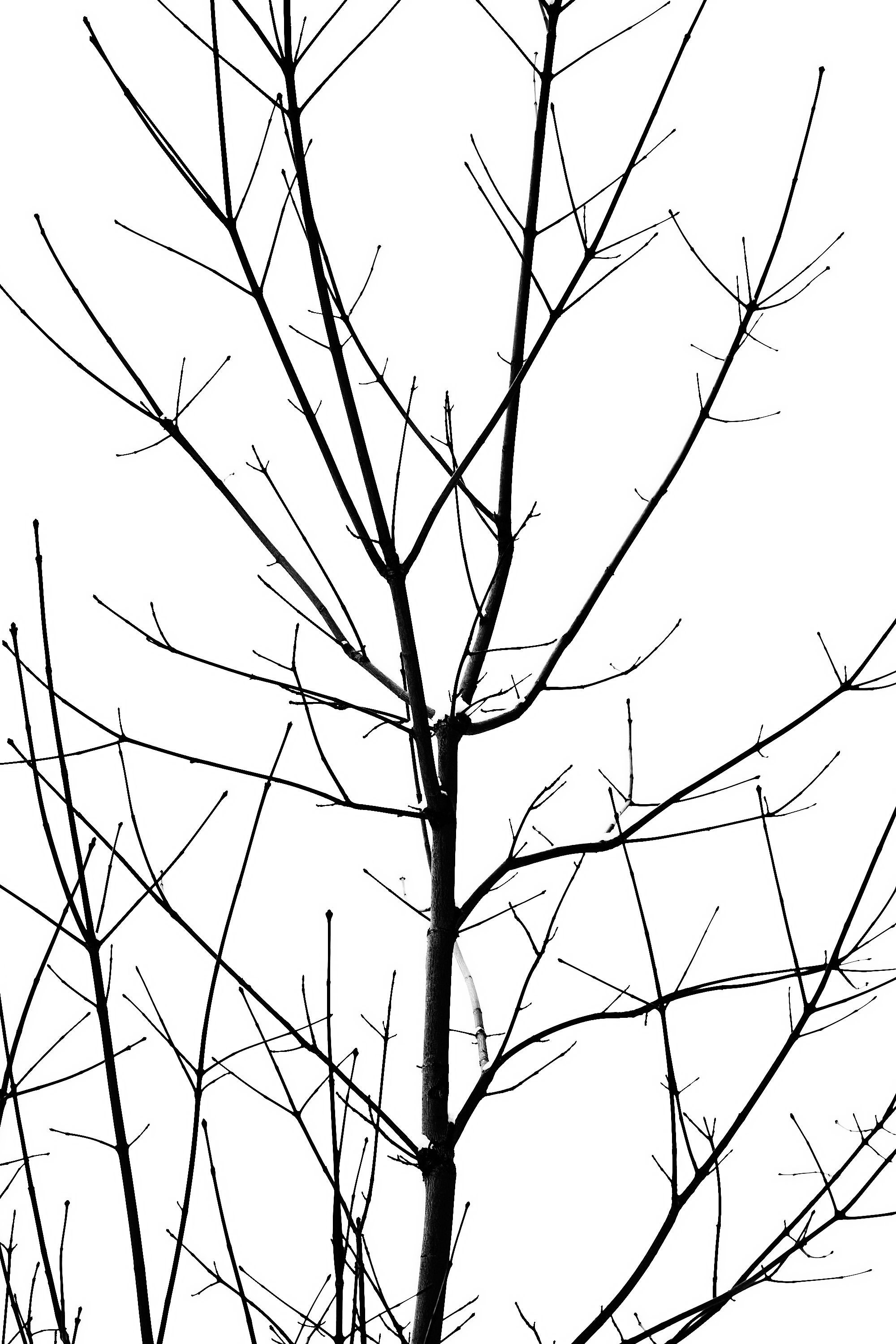 Фотосессия района ЗИЛАРТ зимой 2026 года. Константин Камышников: интерьерный фотограф в Москве и Подмосковье