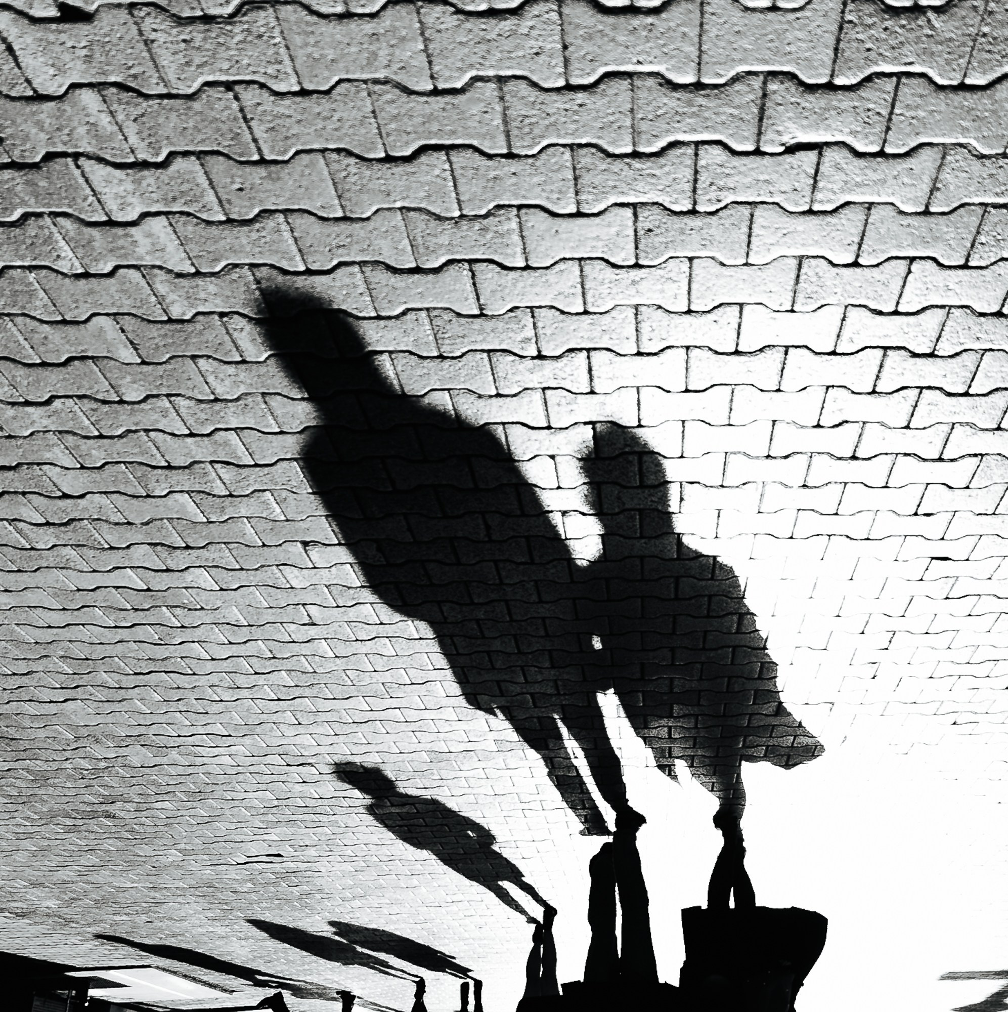 Курс по фотографии Александра Лисицина в Екатеринбурге