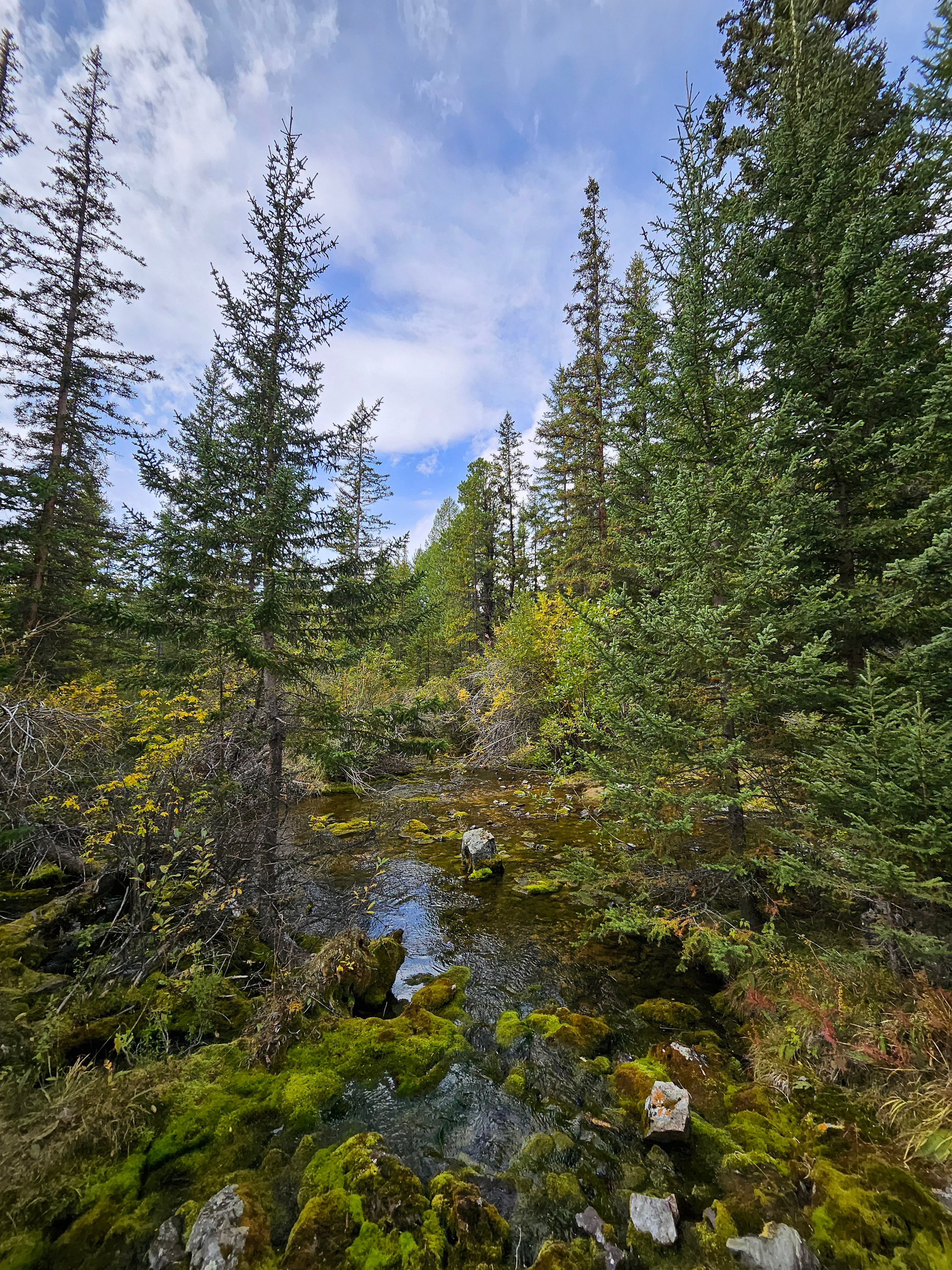 Путешествие по южному Алтаю. Семоха Валерий. Фотограф