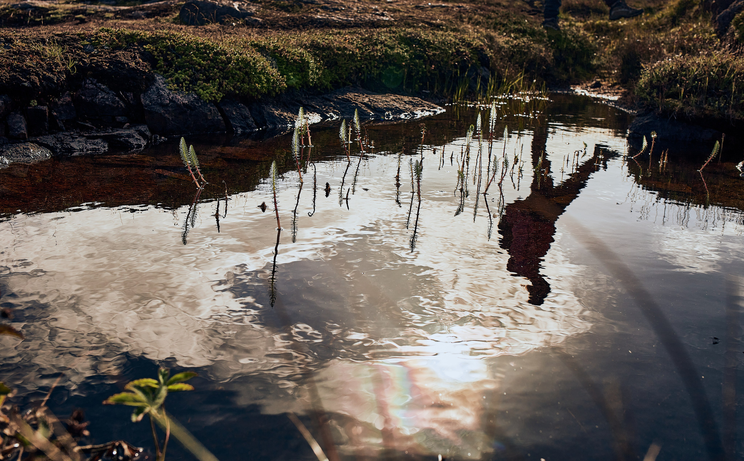 Путешествие на Край Земли. Юлия Иванова. Фотограф для лучших моментов