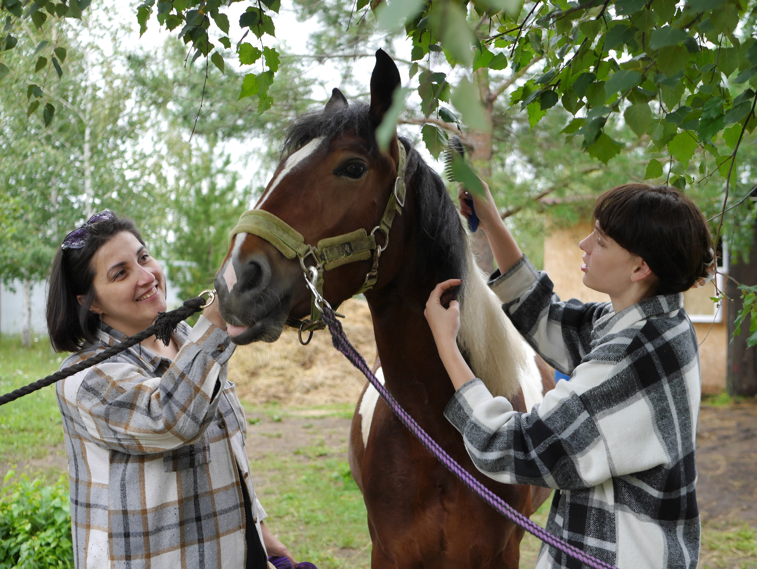 Фотосессия с конем Симоном город Тюмень
