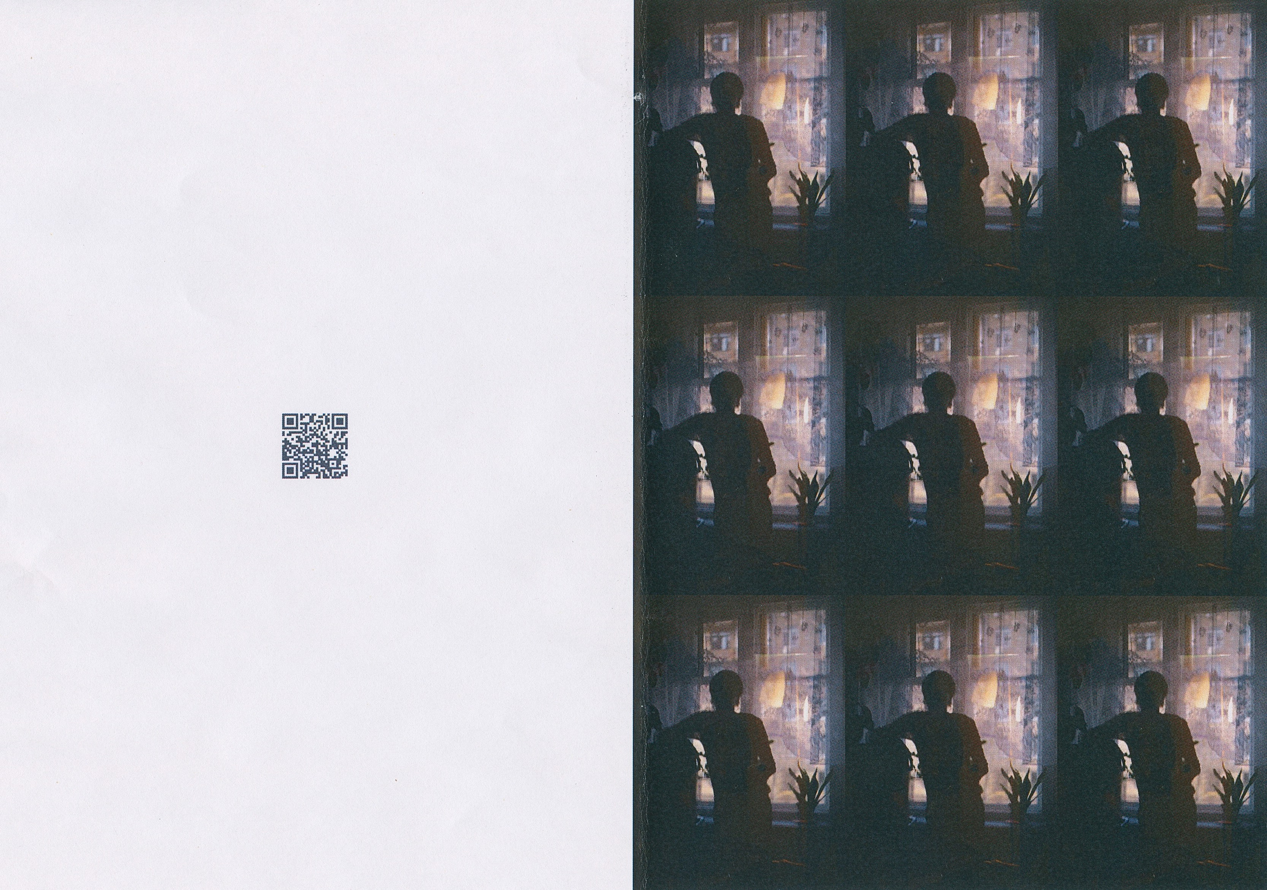 Зин Q. Фотограф и коллажист Ольга Шереметьева