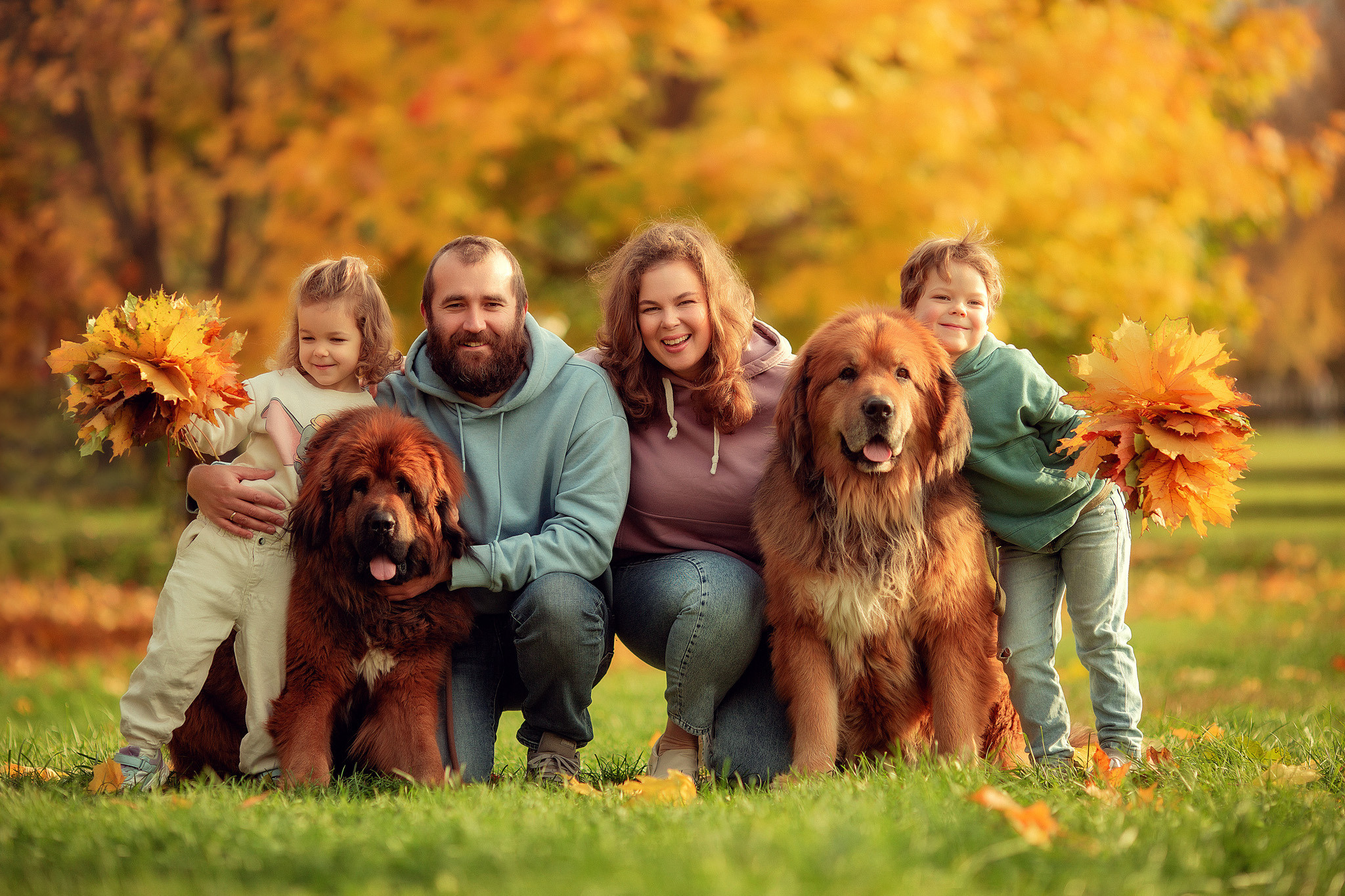 Семья с Тибетскими мастифами. Детский и семейный фотограф с животными в Москве Гурьева Надежда