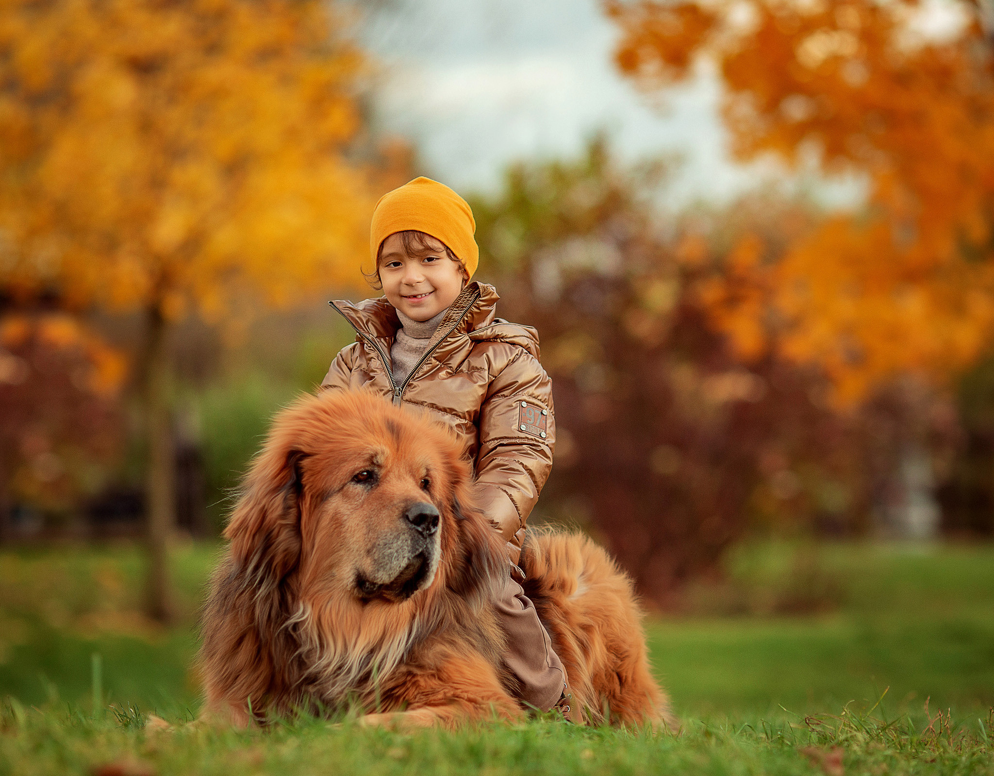 Дина с семьей и 2 Тибетских мастифа. Детский и семейный фотограф с животными в Москве Гурьева Надежда