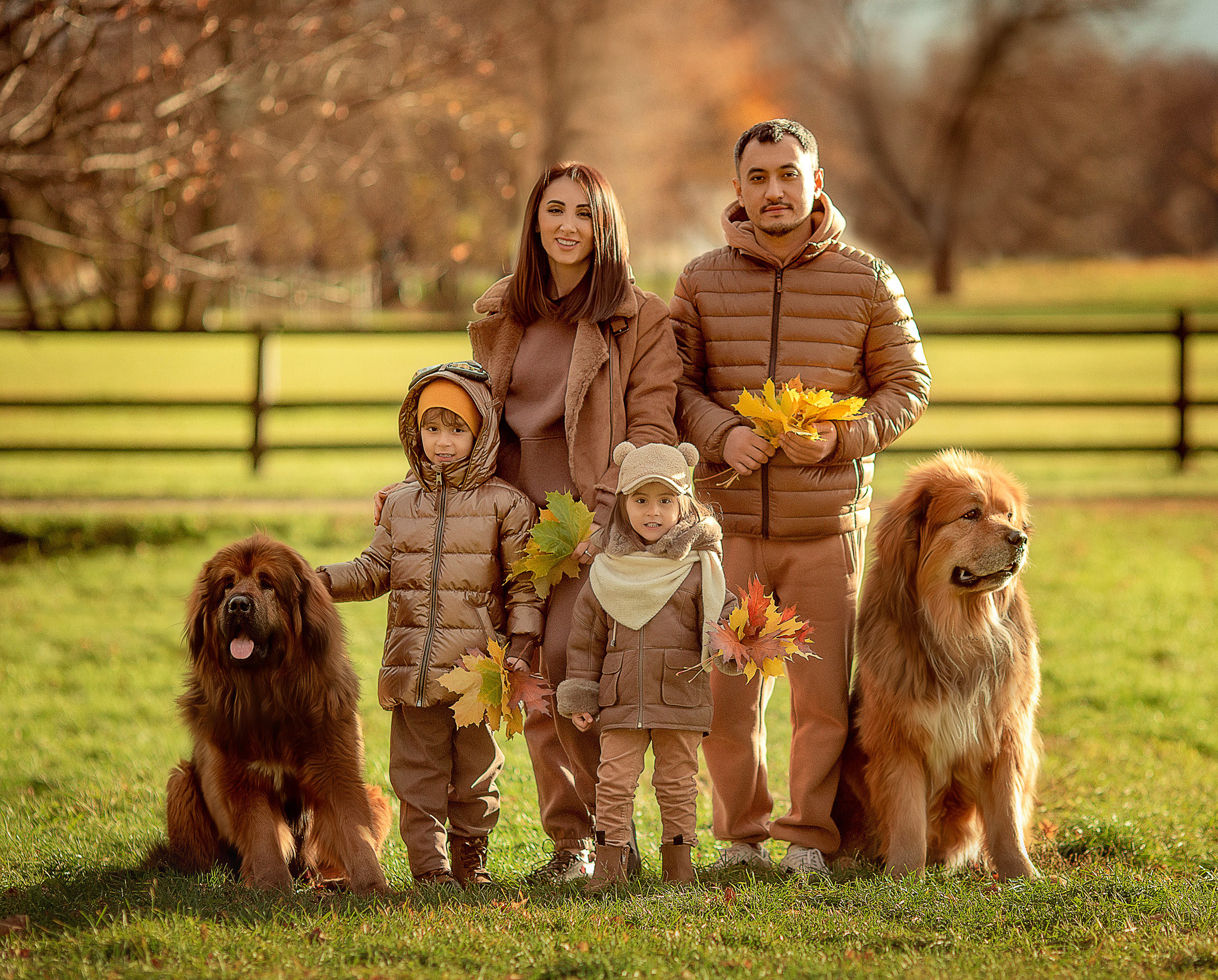 Дина с семьей и 2 Тибетских мастифа. Детский и семейный фотограф с животными в Москве Гурьева Надежда