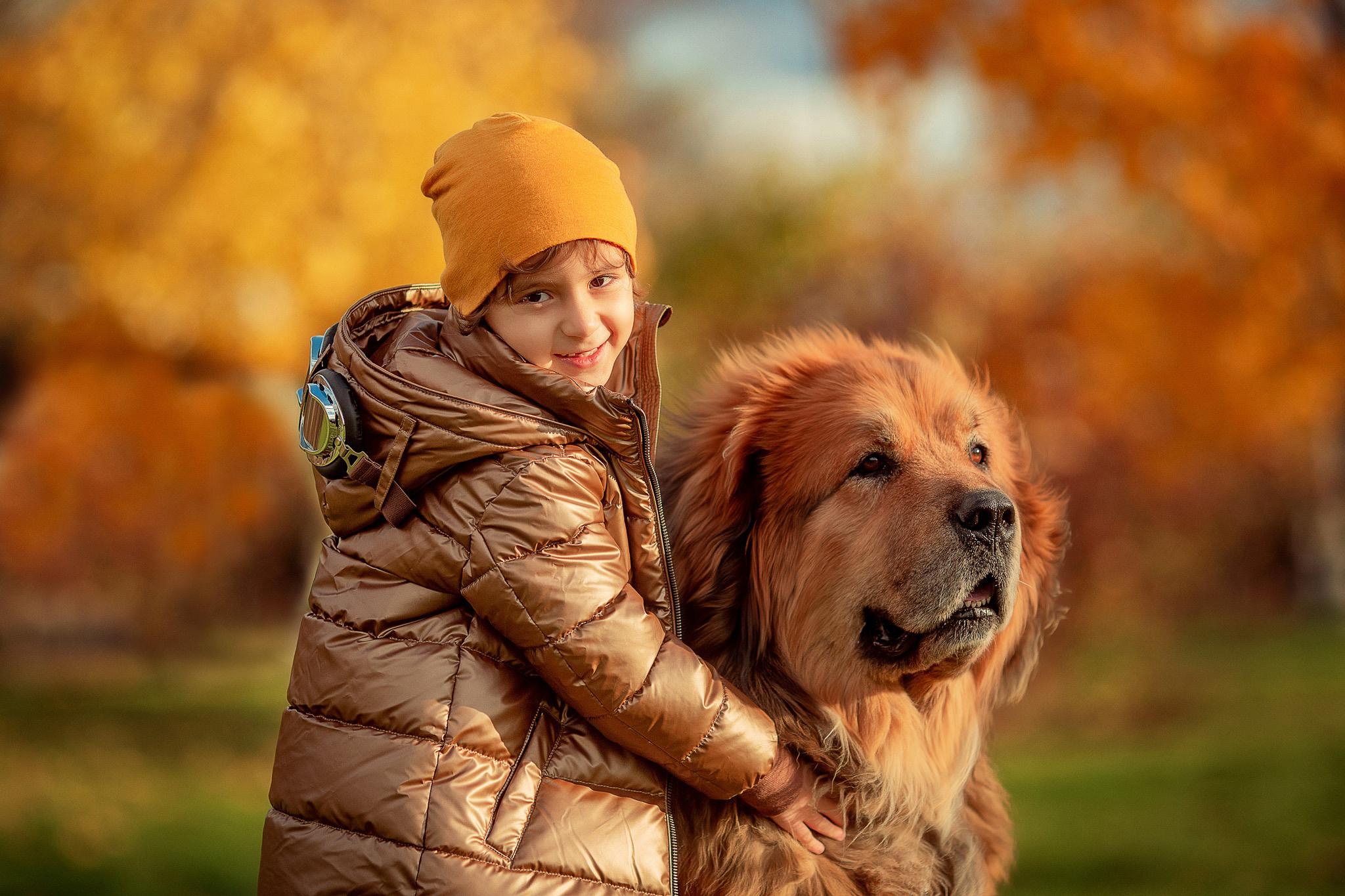 Дина с семьей и 2 Тибетских мастифа. Детский и семейный фотограф с животными в Москве Гурьева Надежда