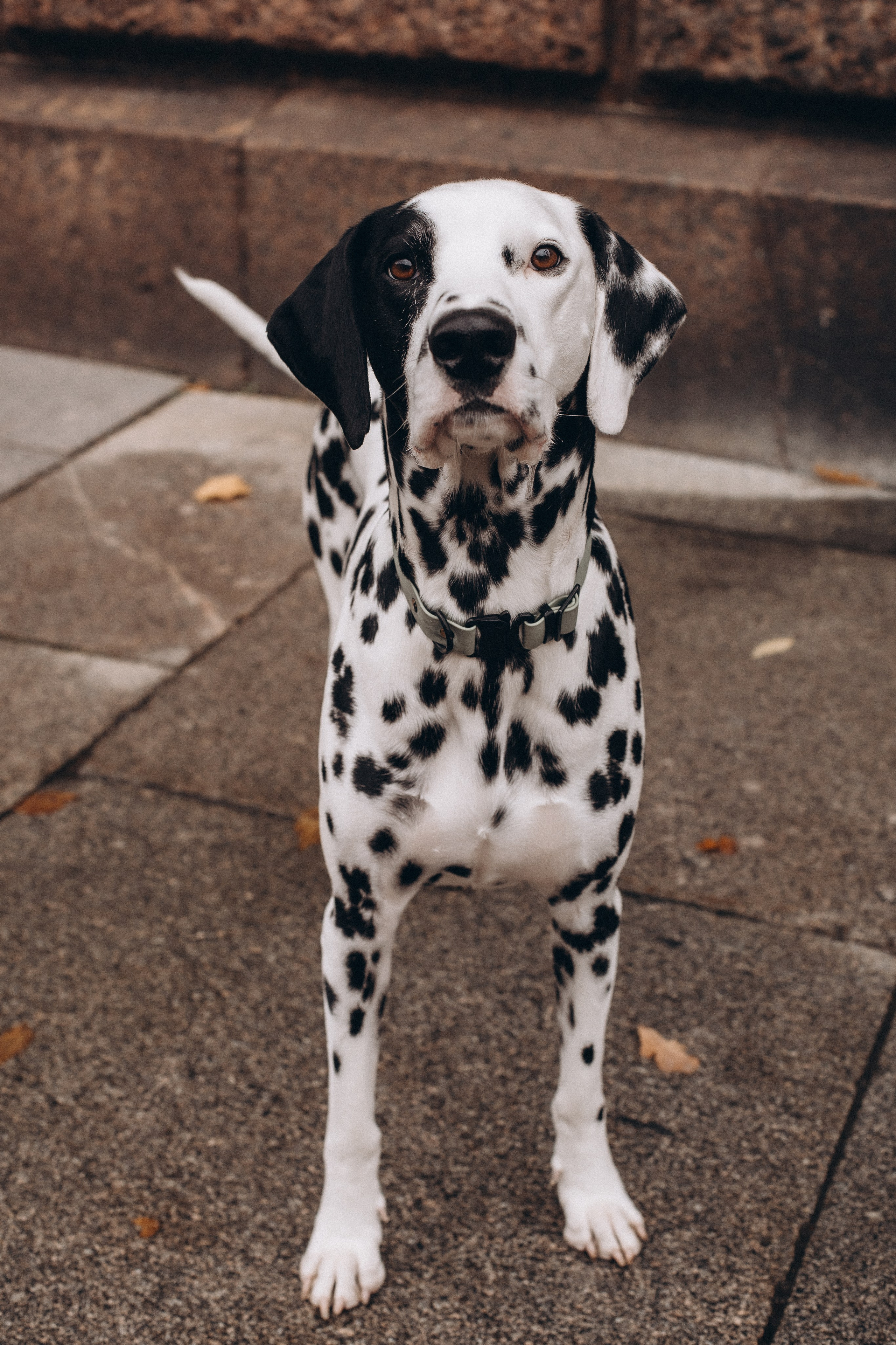 Таня и Эскель