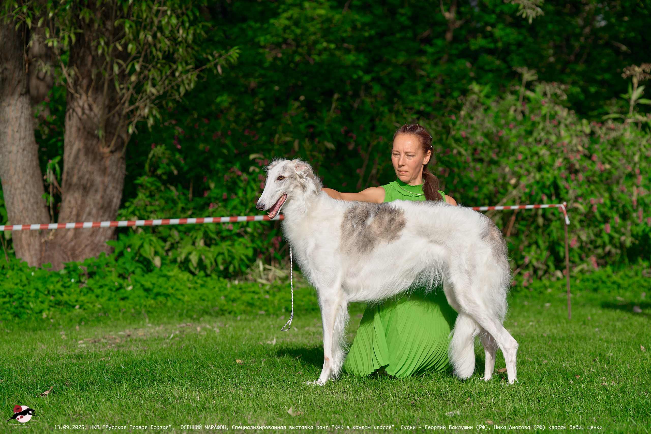 ОСЕННИЙ МАРАФОН | Специализированная выставка породы Русская Псовая Борзая ранг "КЧК в каждом классе"