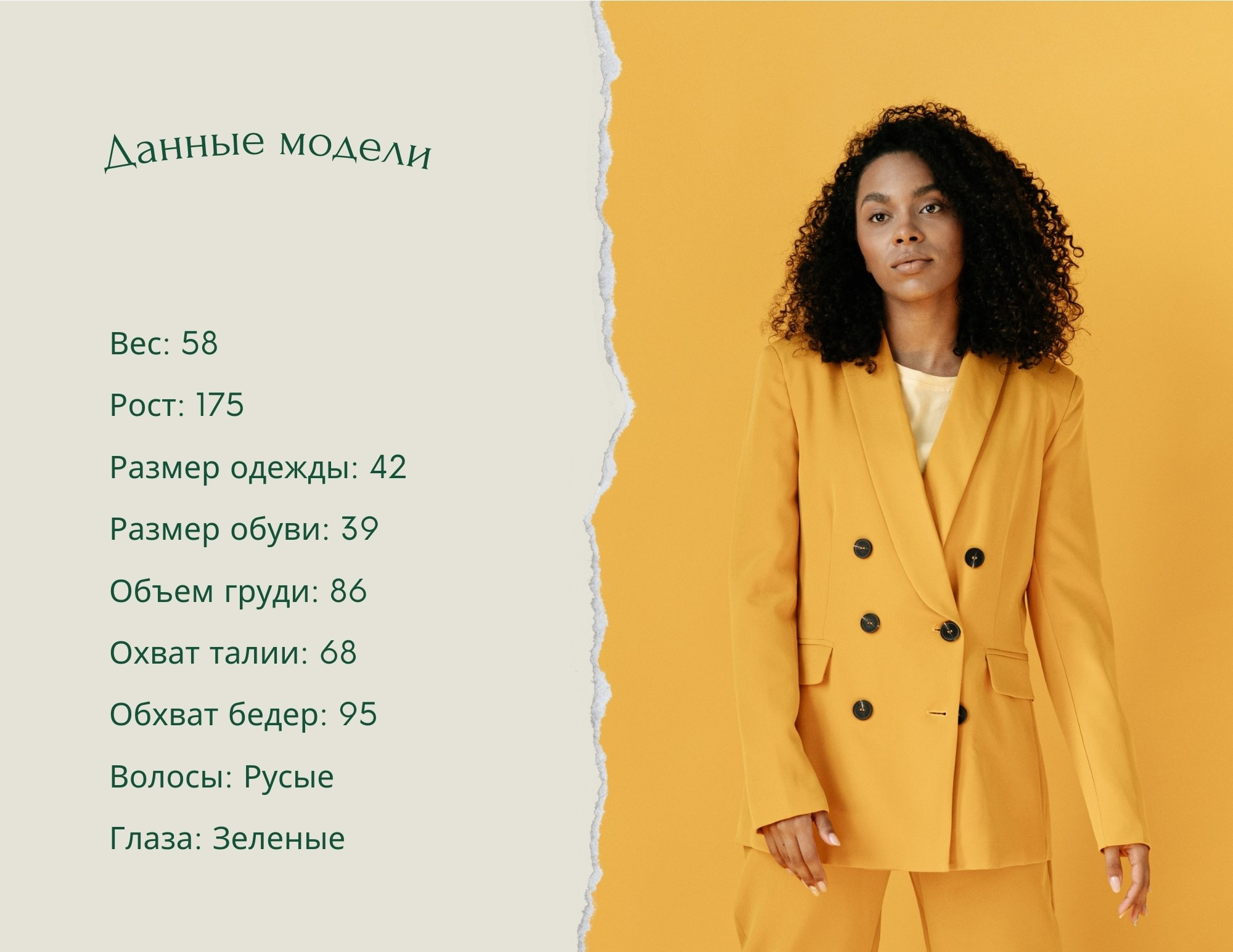 Страница «Данные модели» с параметрами фигуры