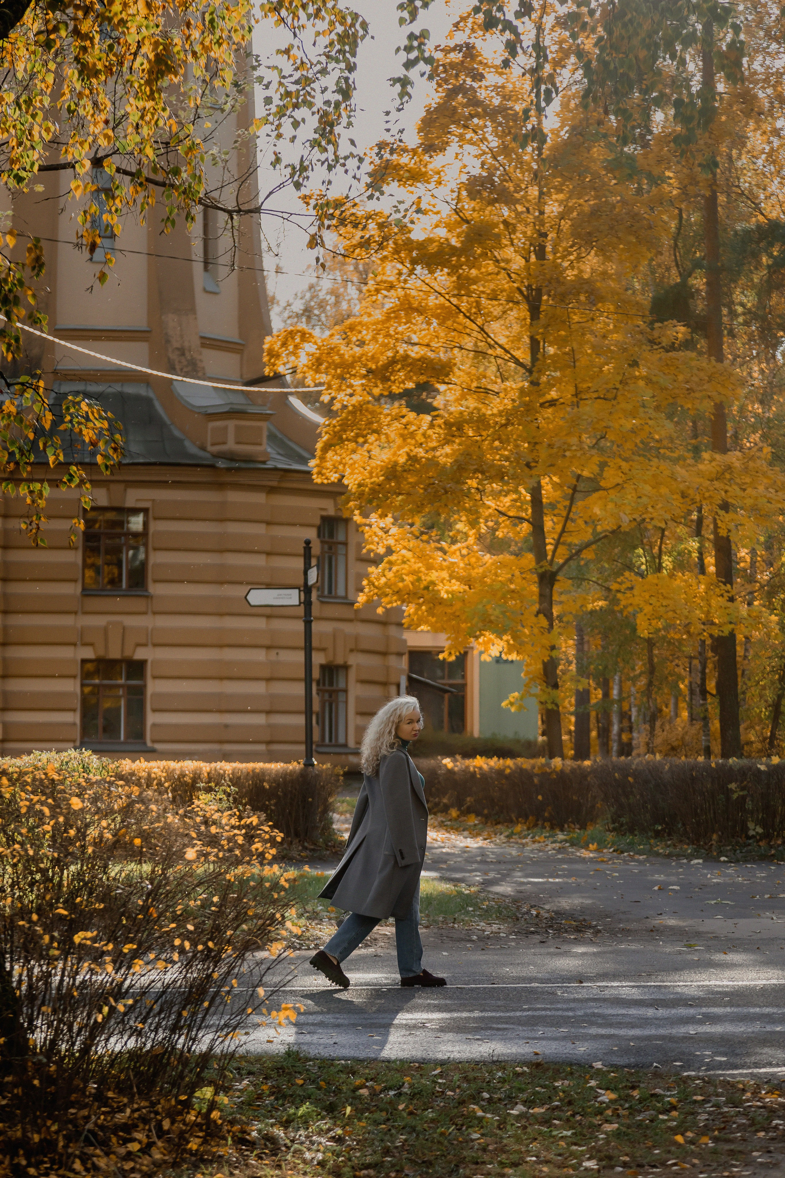 — Сертификаты. Главная