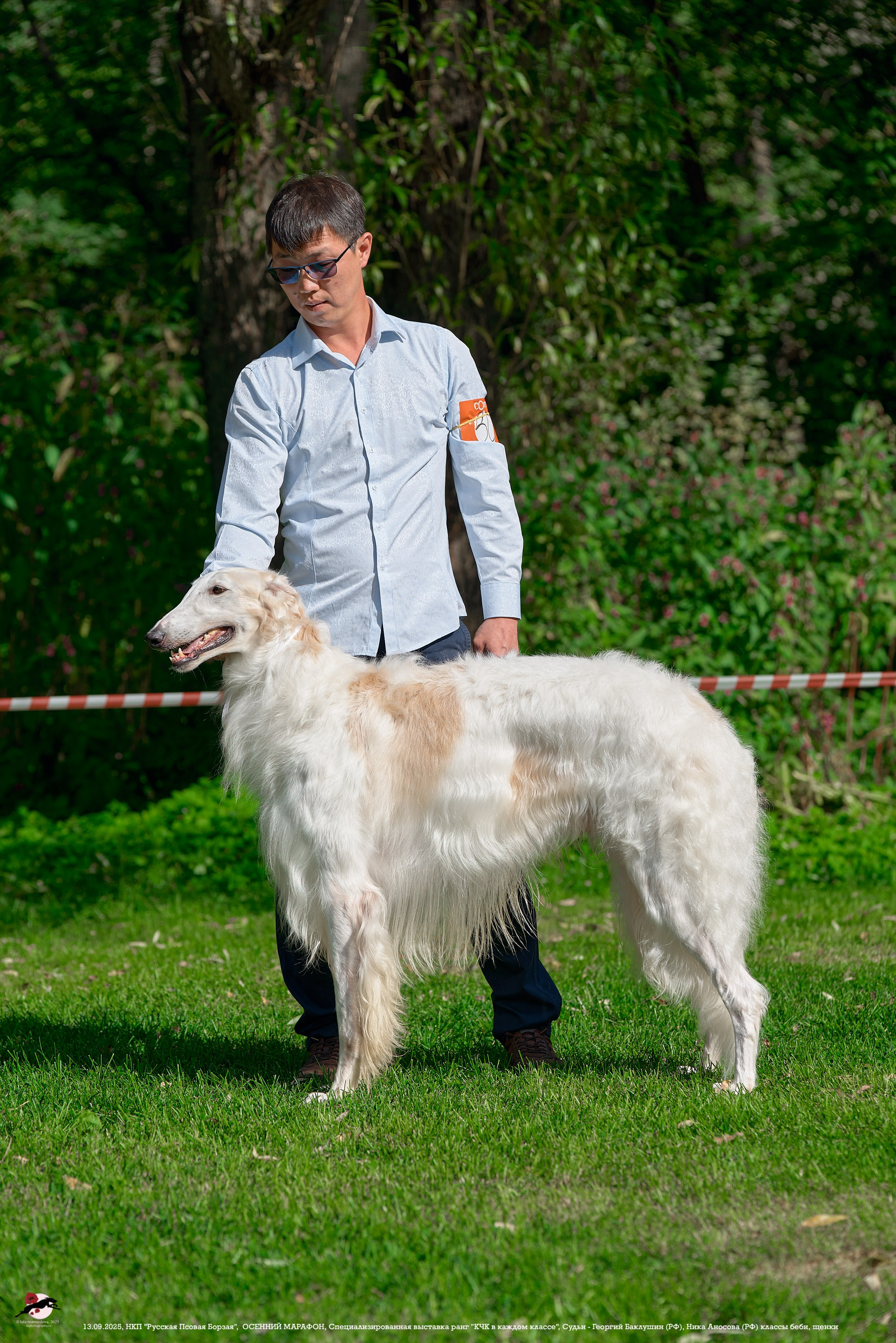 ОСЕННИЙ МАРАФОН | Специализированная выставка породы Русская Псовая Борзая ранг "КЧК в каждом классе"