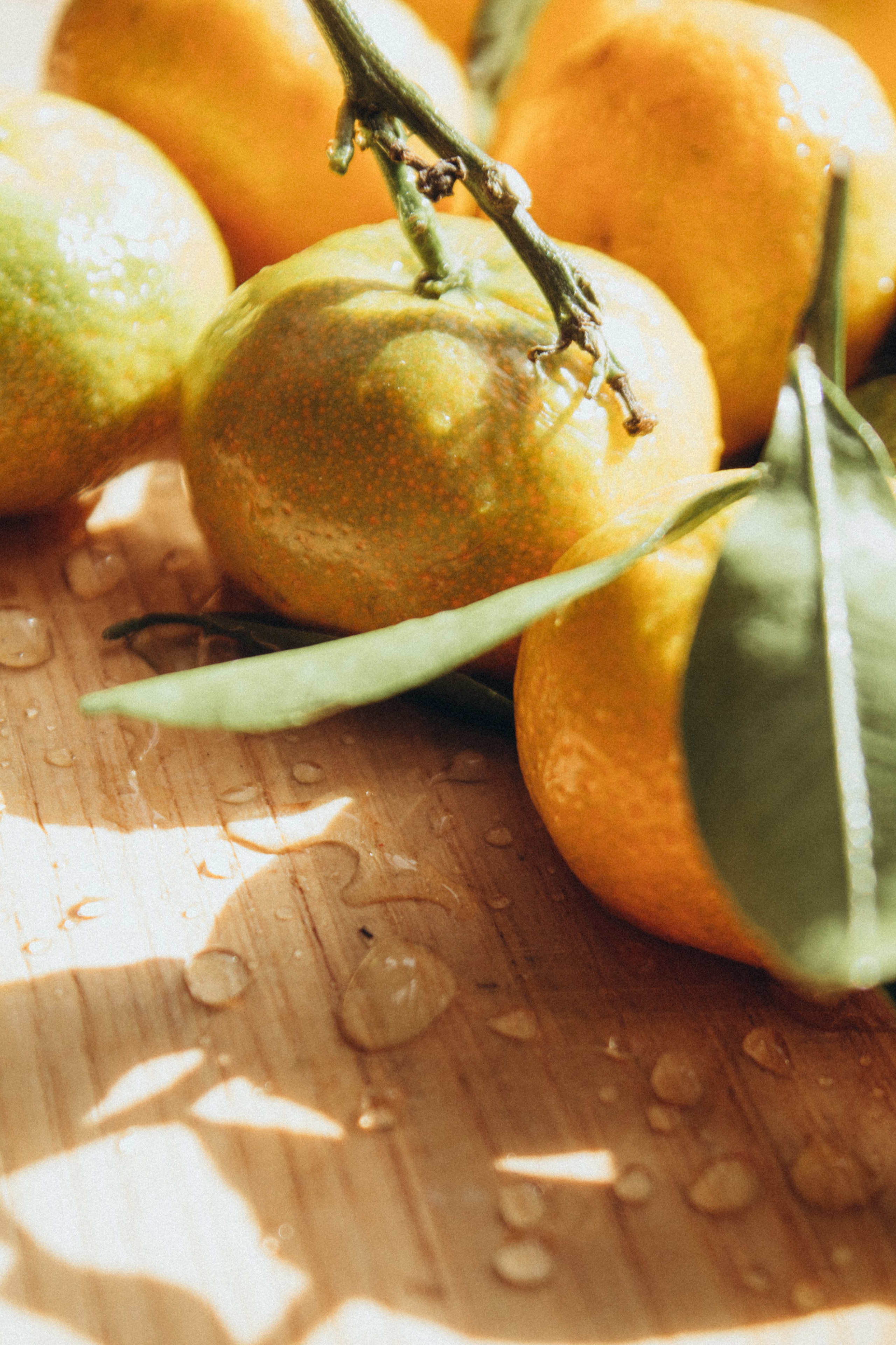 ФОТОШКОЛА. Фотостудия в Мариуполе «Берлога»