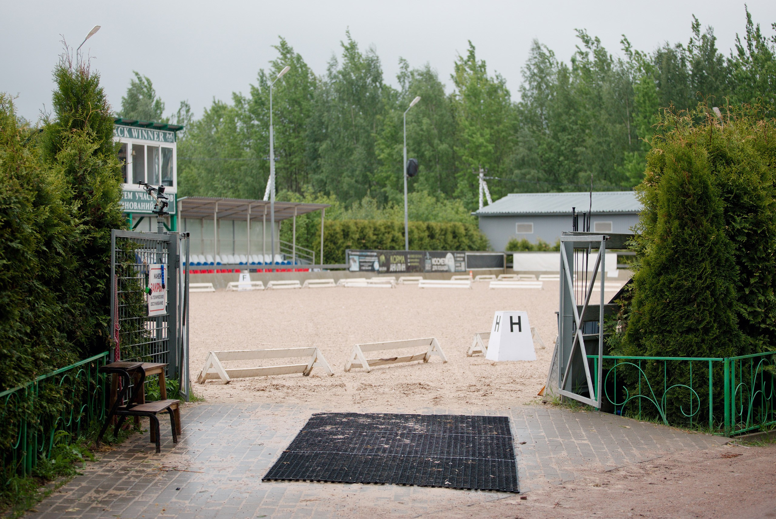 Winner — 23.05.2026. Портретный и конный фотограф в Санкт-Петербурге — Сергей Крылов