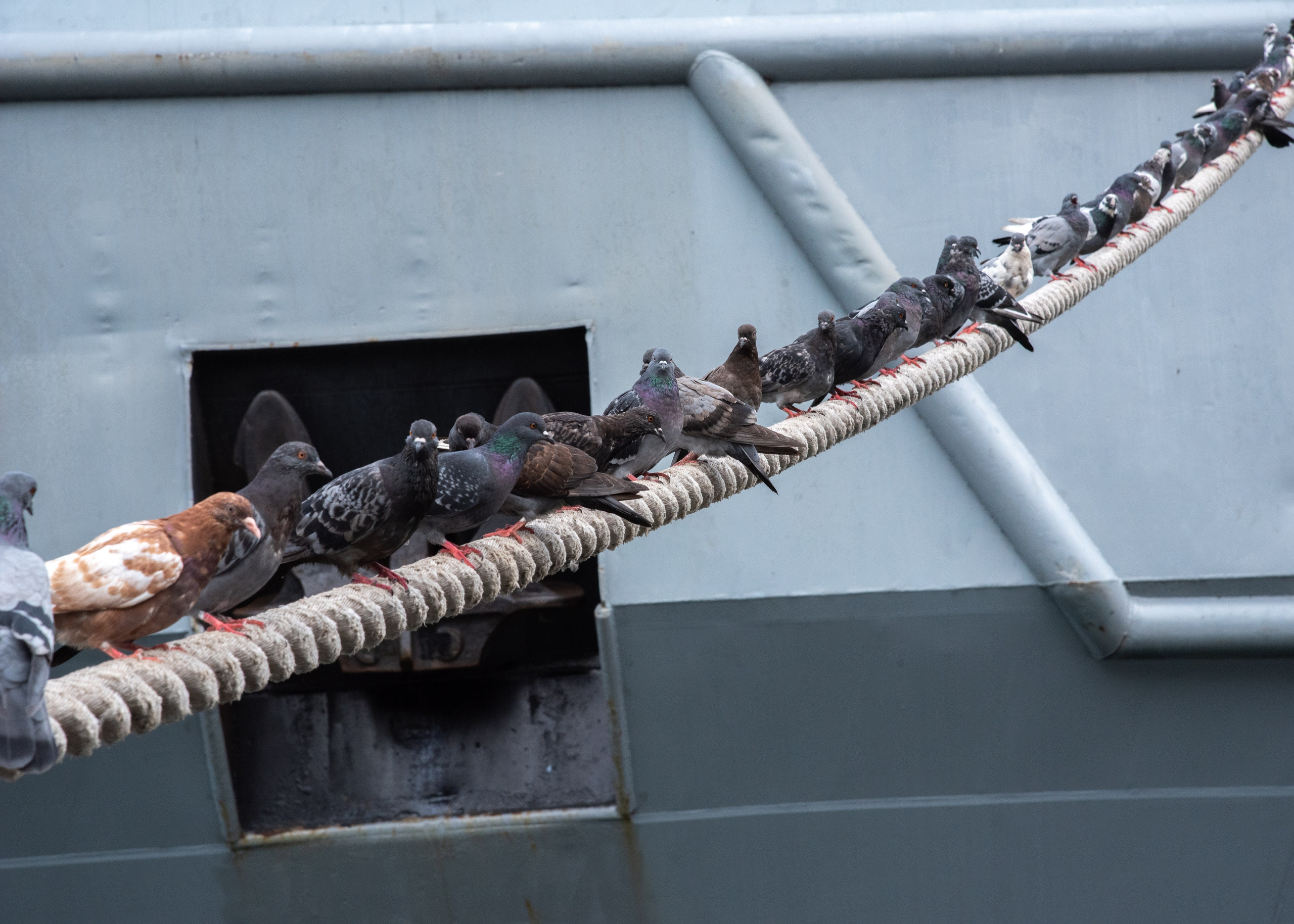 Балтийск. Фотограф Юлия Зимина