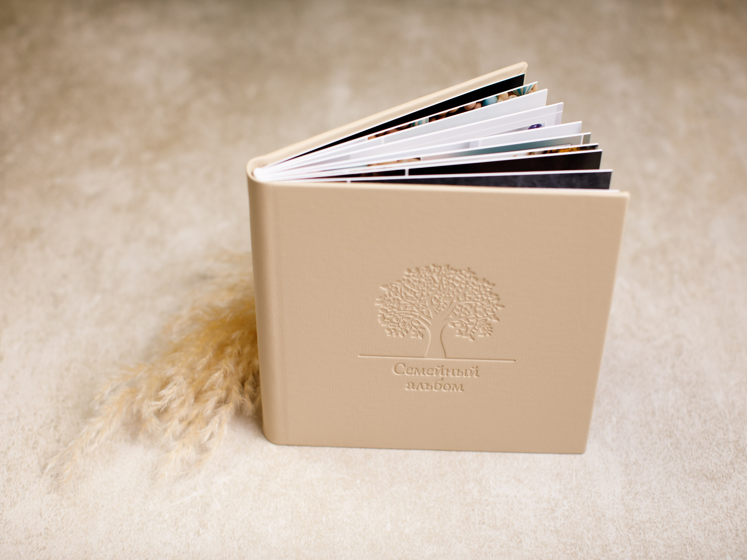 Прайс Фотокниги. Фотограф новорождённых и детей до года на КМВ