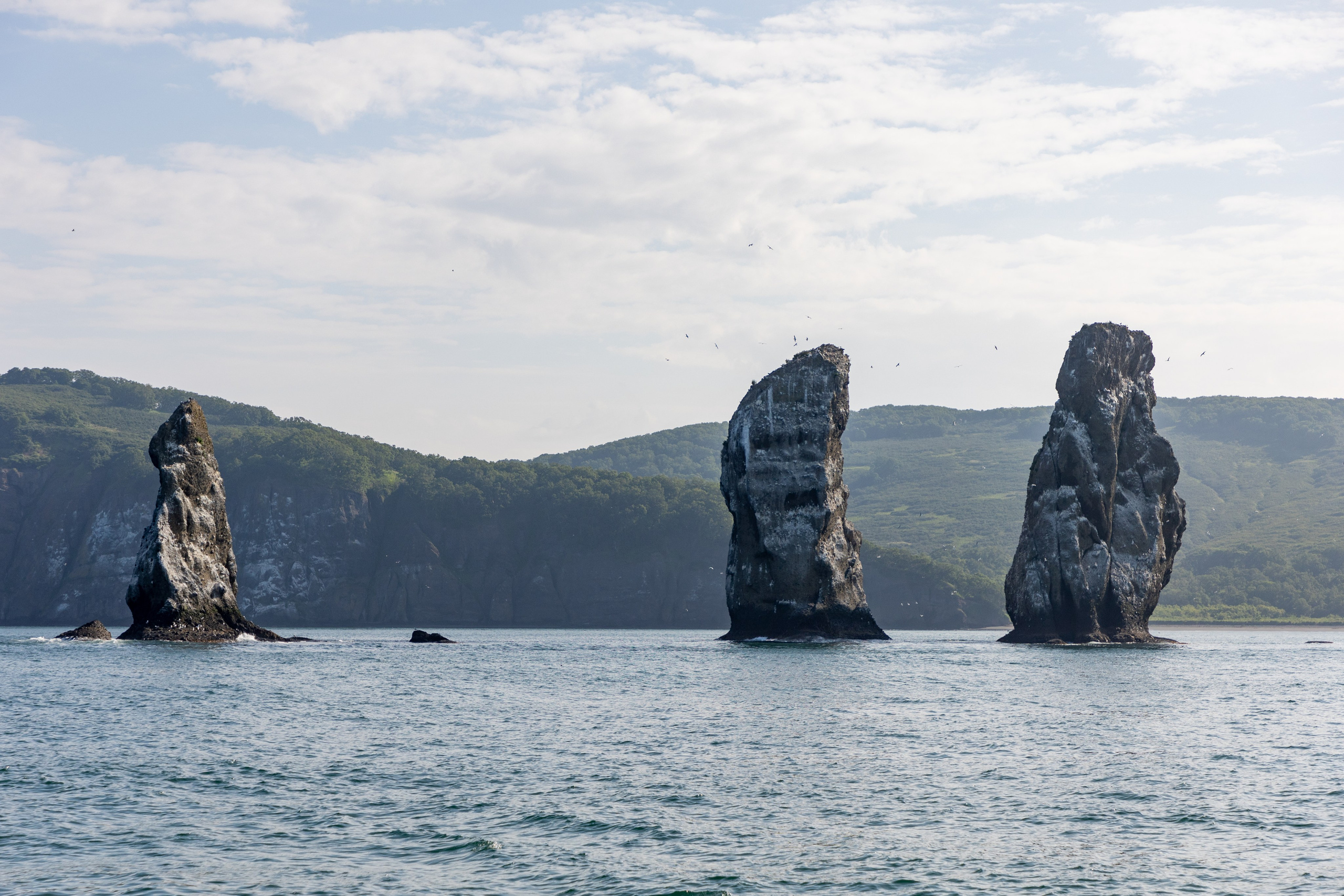 Крабовое сафари. Время Камчатки: чтобы найти свой путь, нужно скорость умножить на время