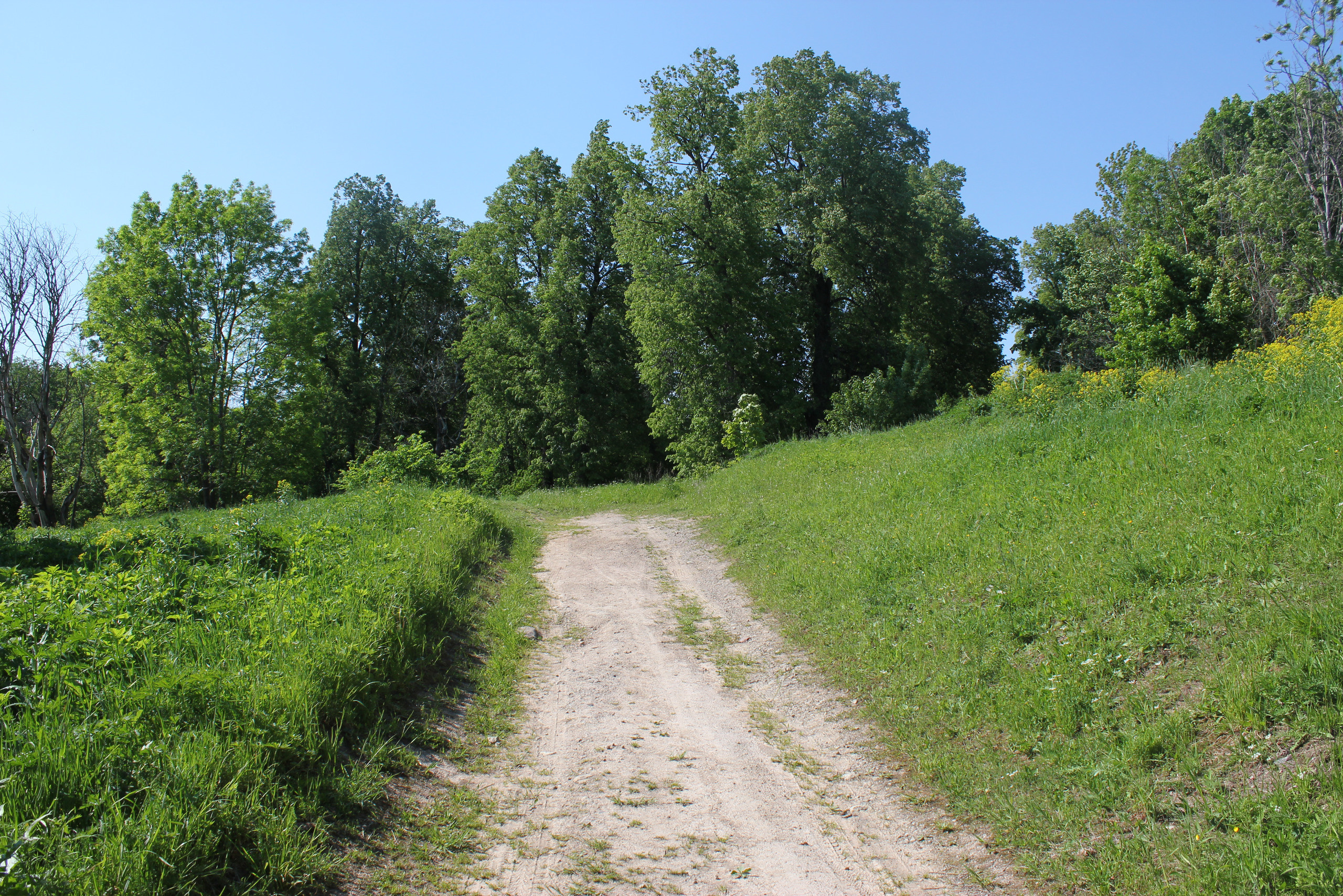 История. История Назиевского городского поселения