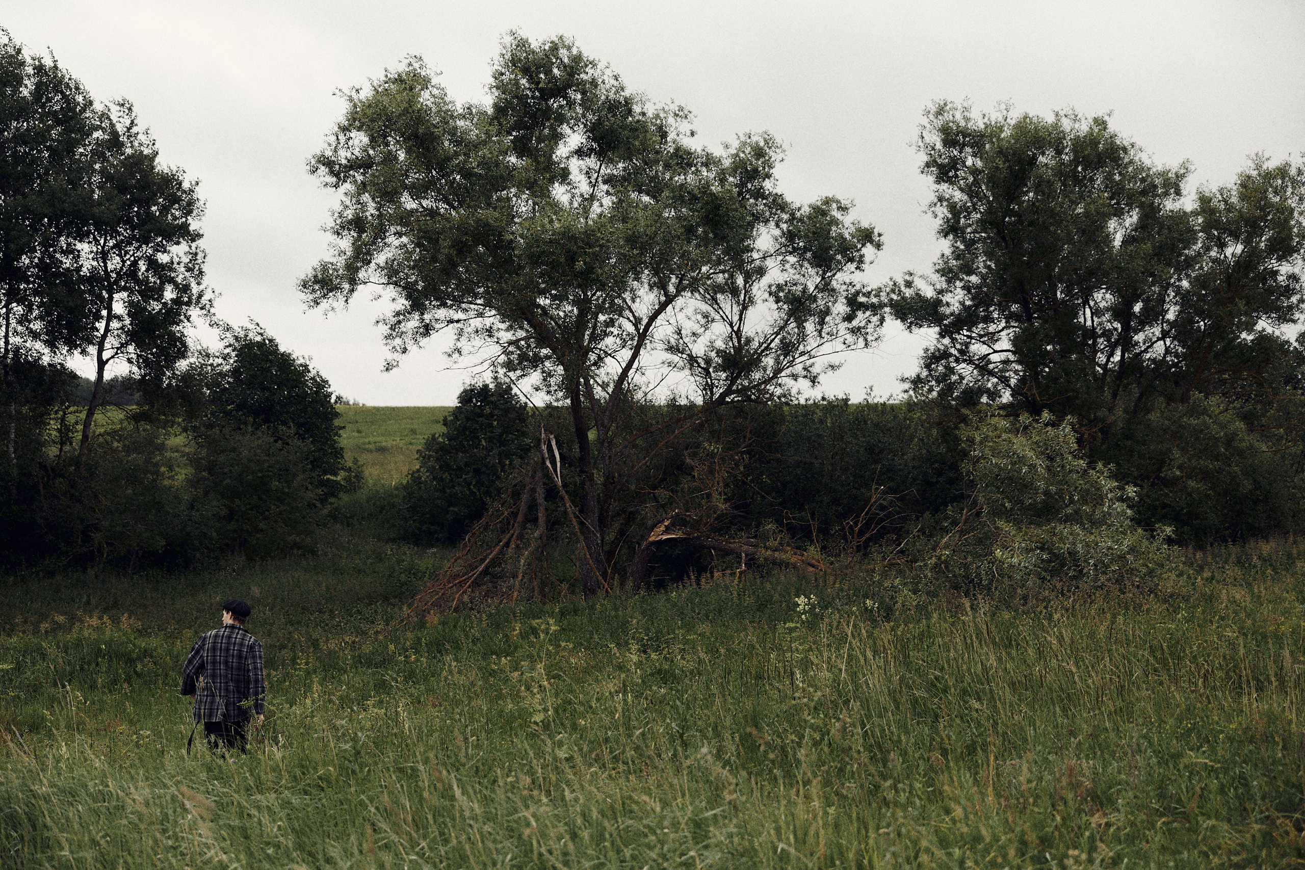 Виолетта и Александр. Свадебный и семейный фотограф в Иваново и Москве Мильков Вадим