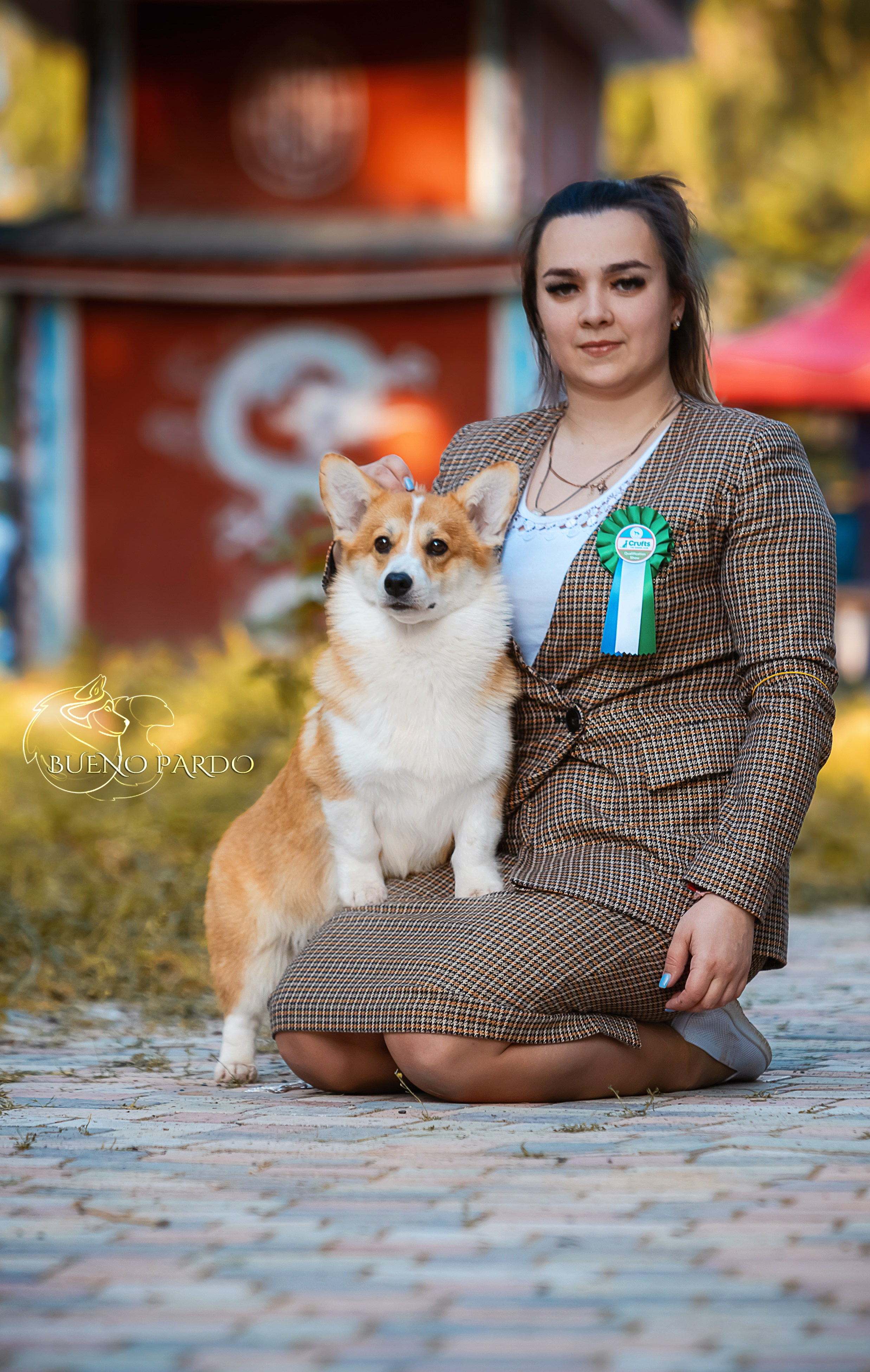 Собаки питомника Bueno Pardo. Питомник собак Акита, Хаски, Корги