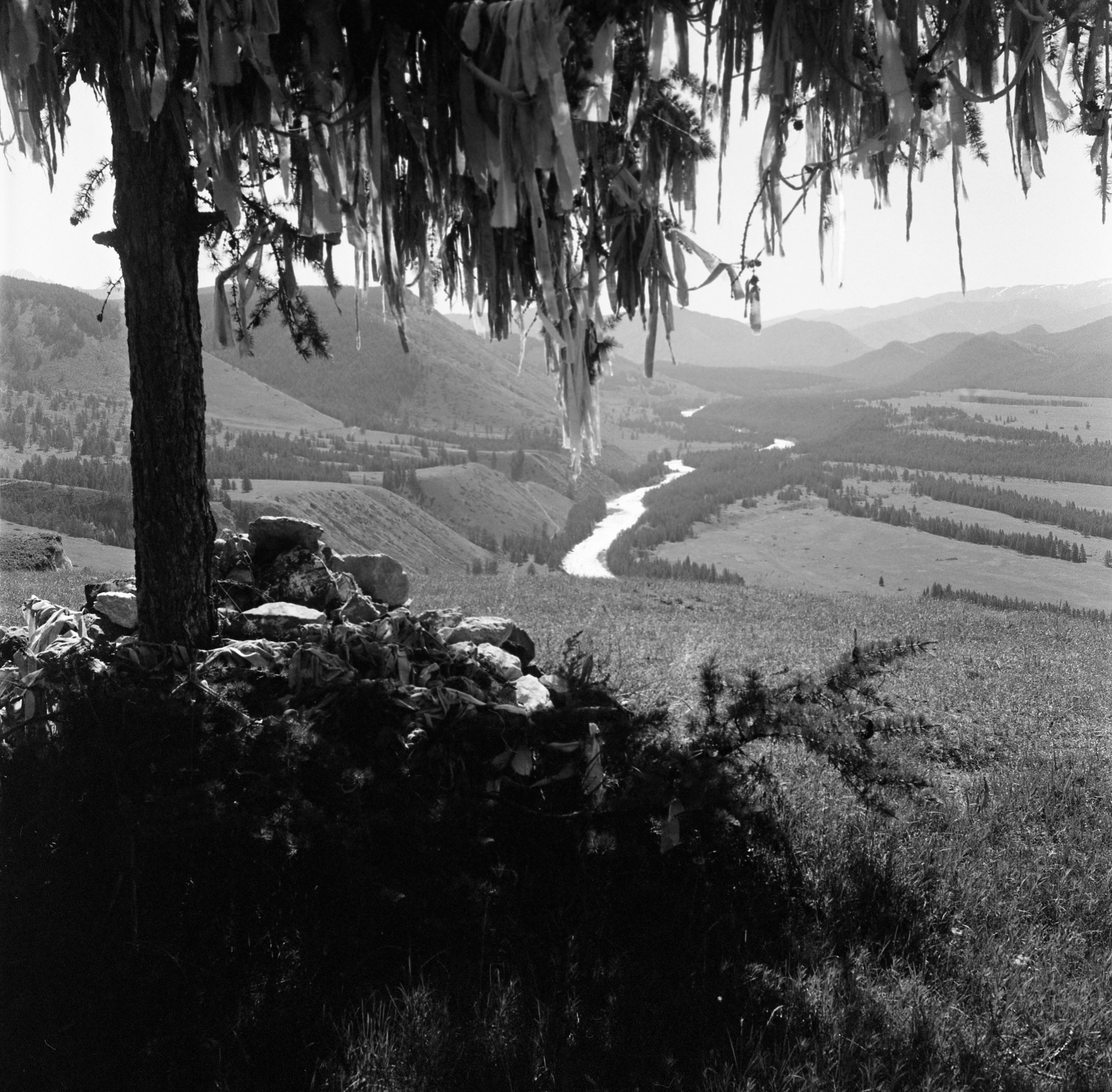 Алтай, Россия. Elena Nikitina. Photo Artist. Film photography. Prints