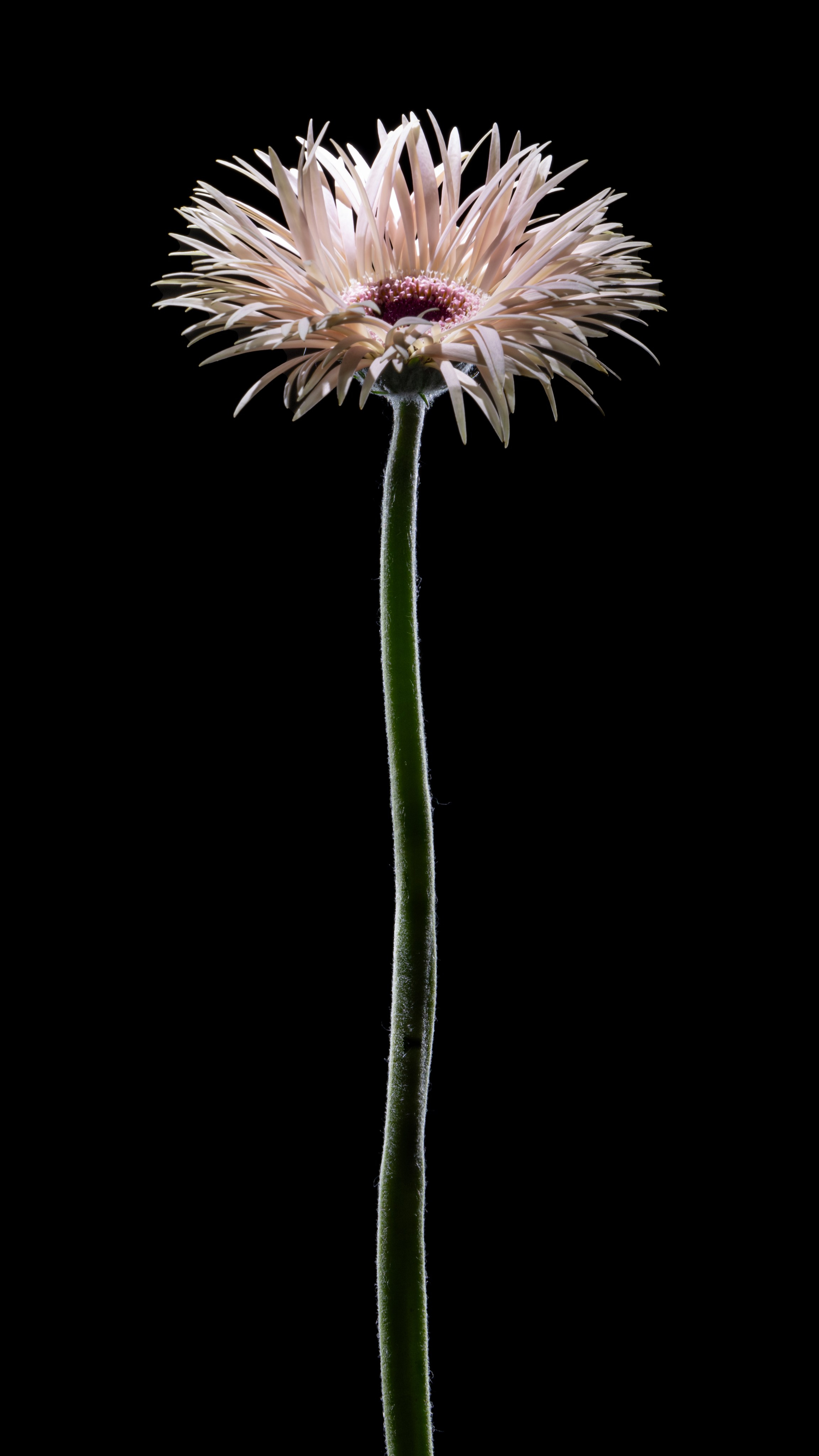 Проекты. Sakunov Photo