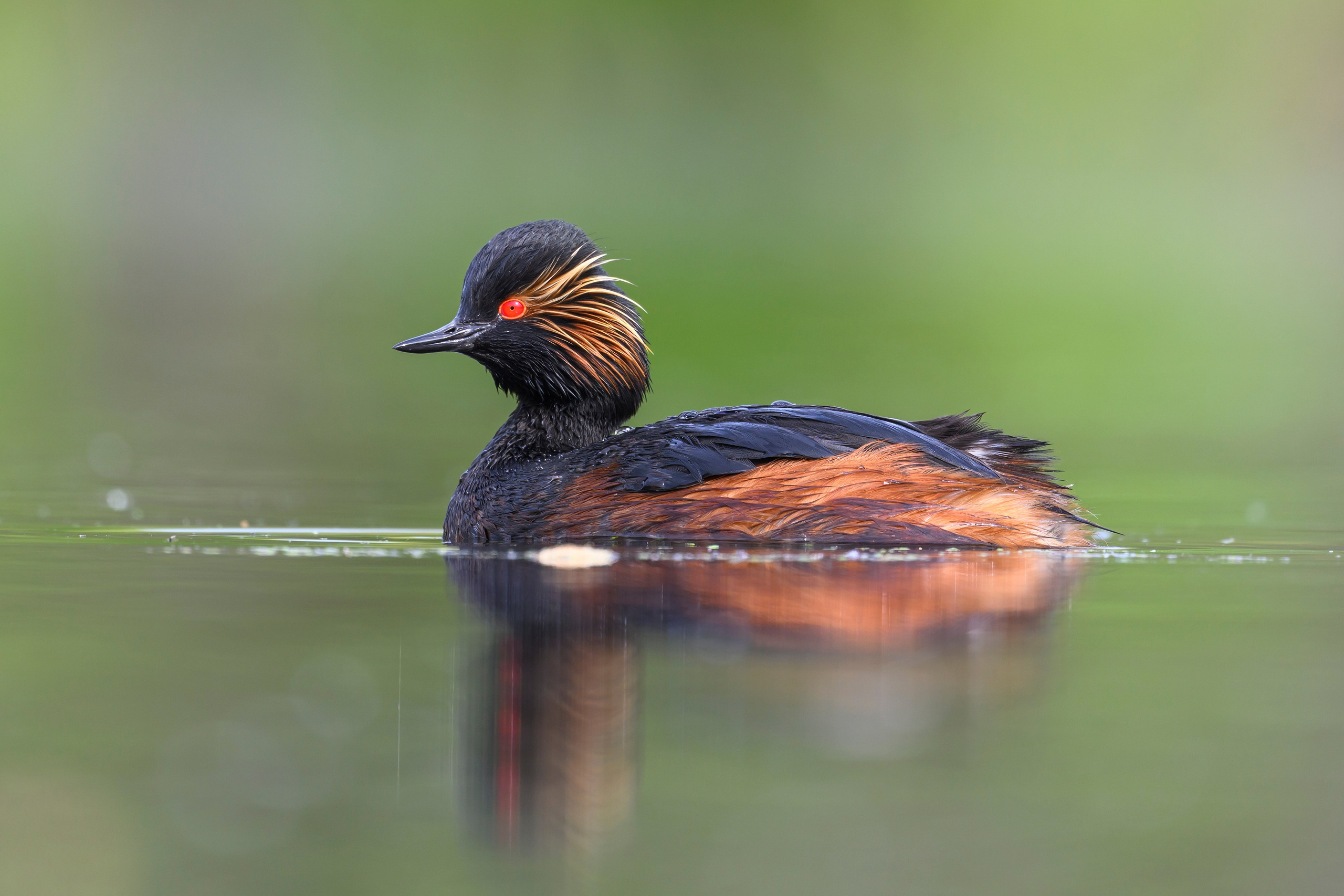 Мягкий свет. Фотограф Сергей Пупонин