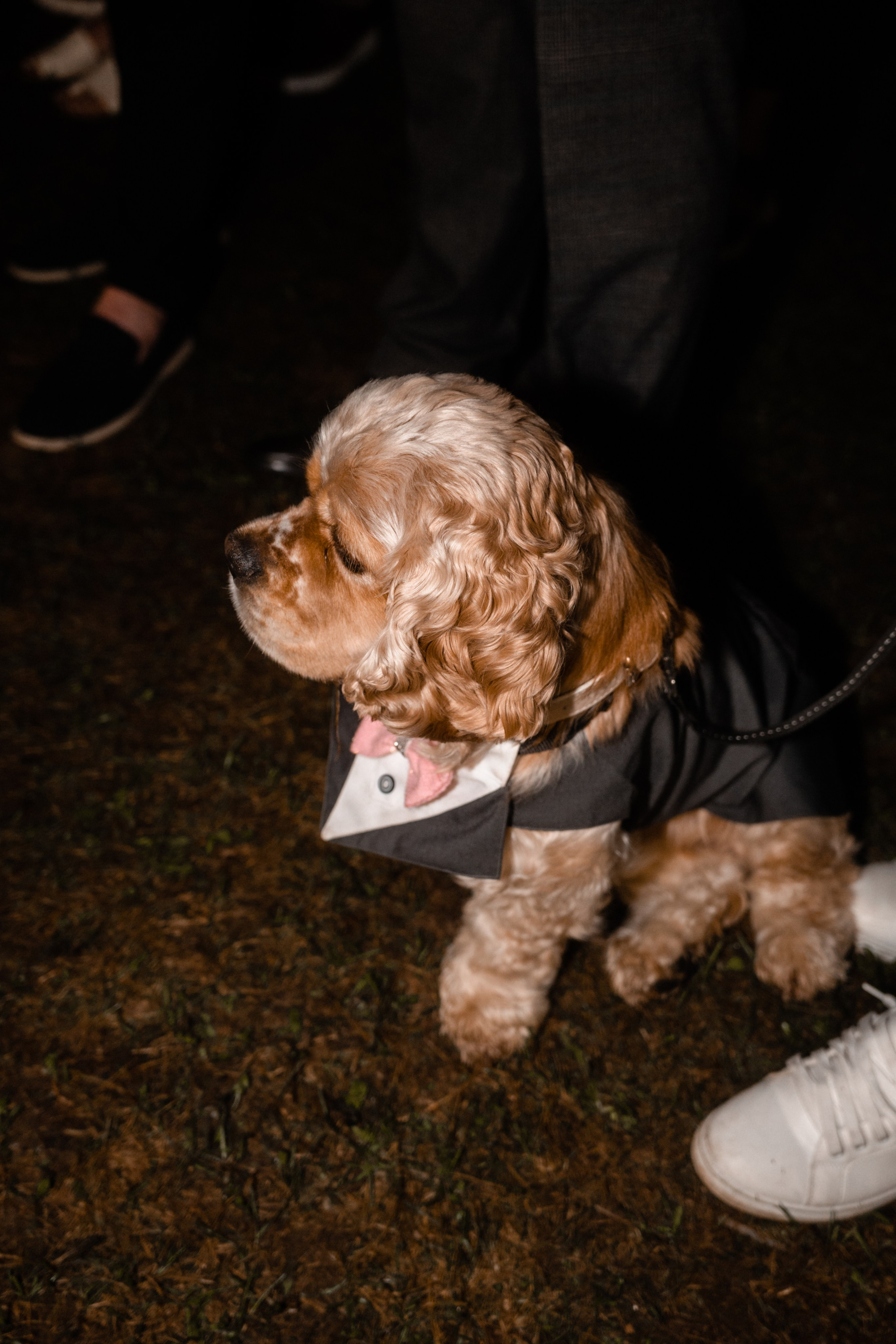 Кристина и Иван. Фотограф и видеограф Мария Банщикова, Солнечногорск, Москва