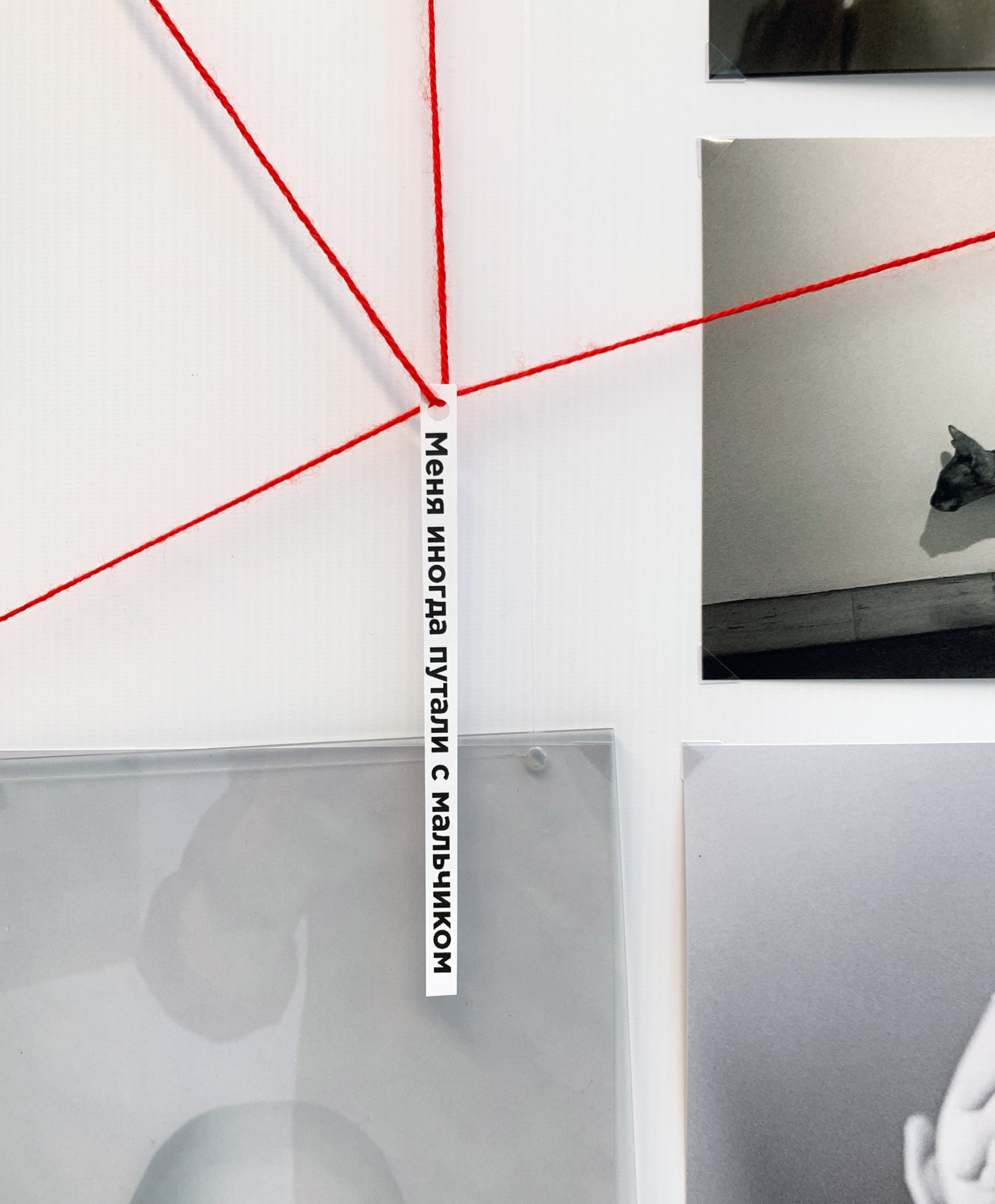 РаЗ\Вные. Контент-креатор Паша Норицын