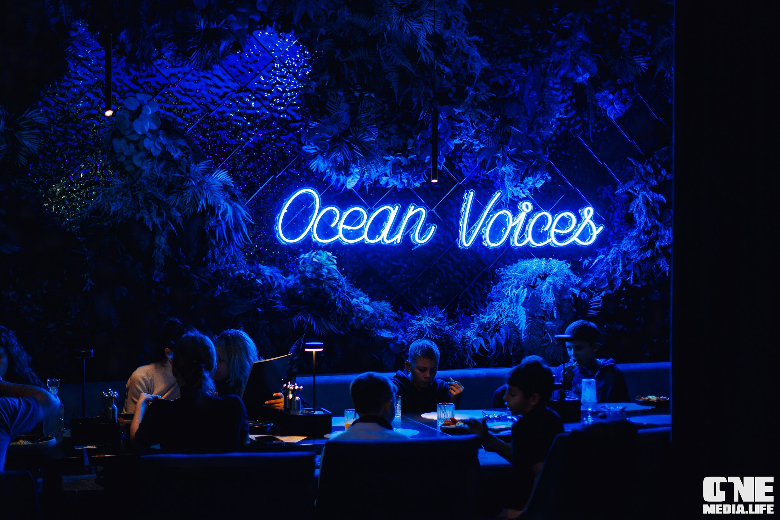 Фоторепортаж из ресторана Океан. One Media Life: фоторепортажи, фотоотчеты с мероприятий и заведений