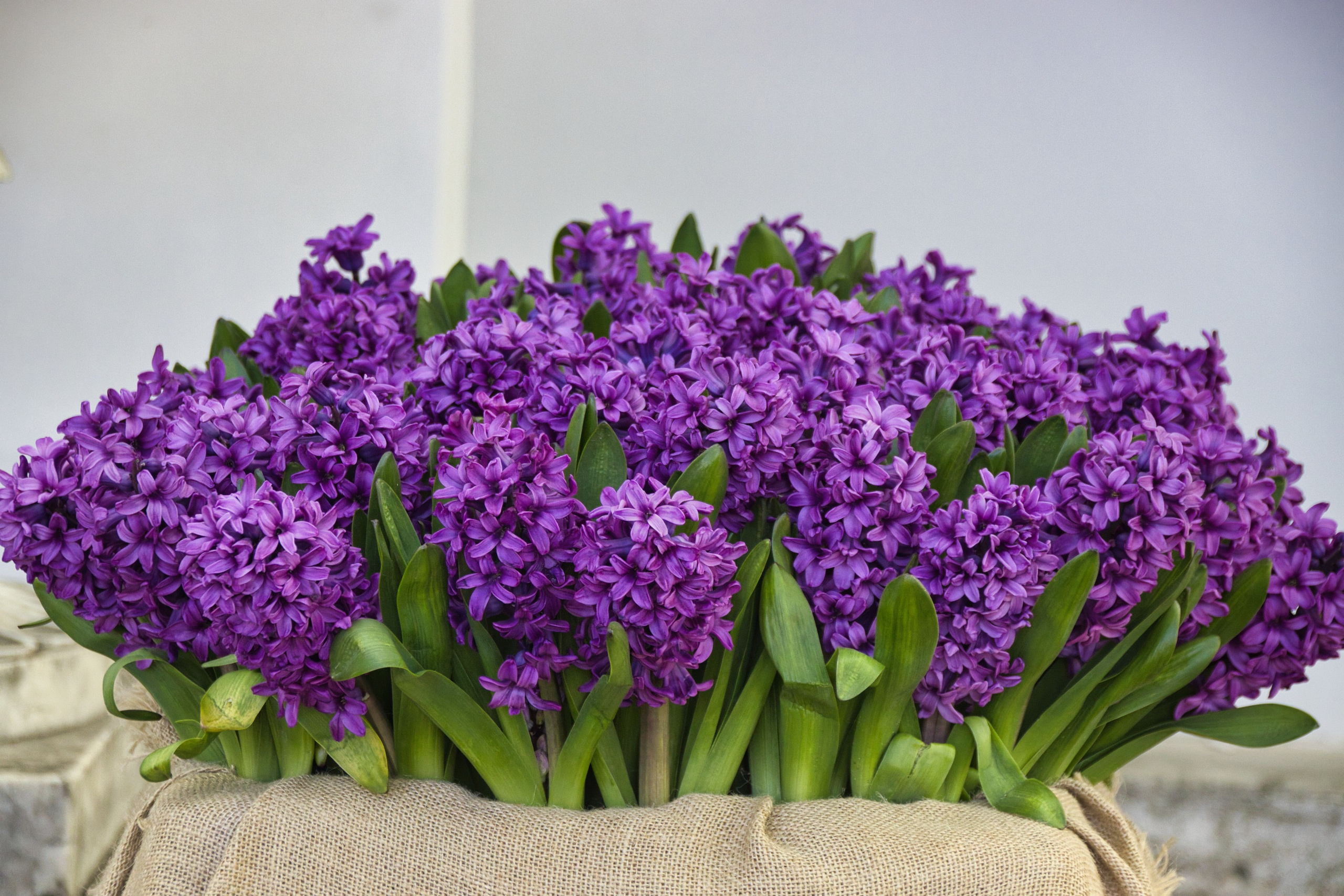 Фотограф в Санкт-Петербурге Георгий Елецких