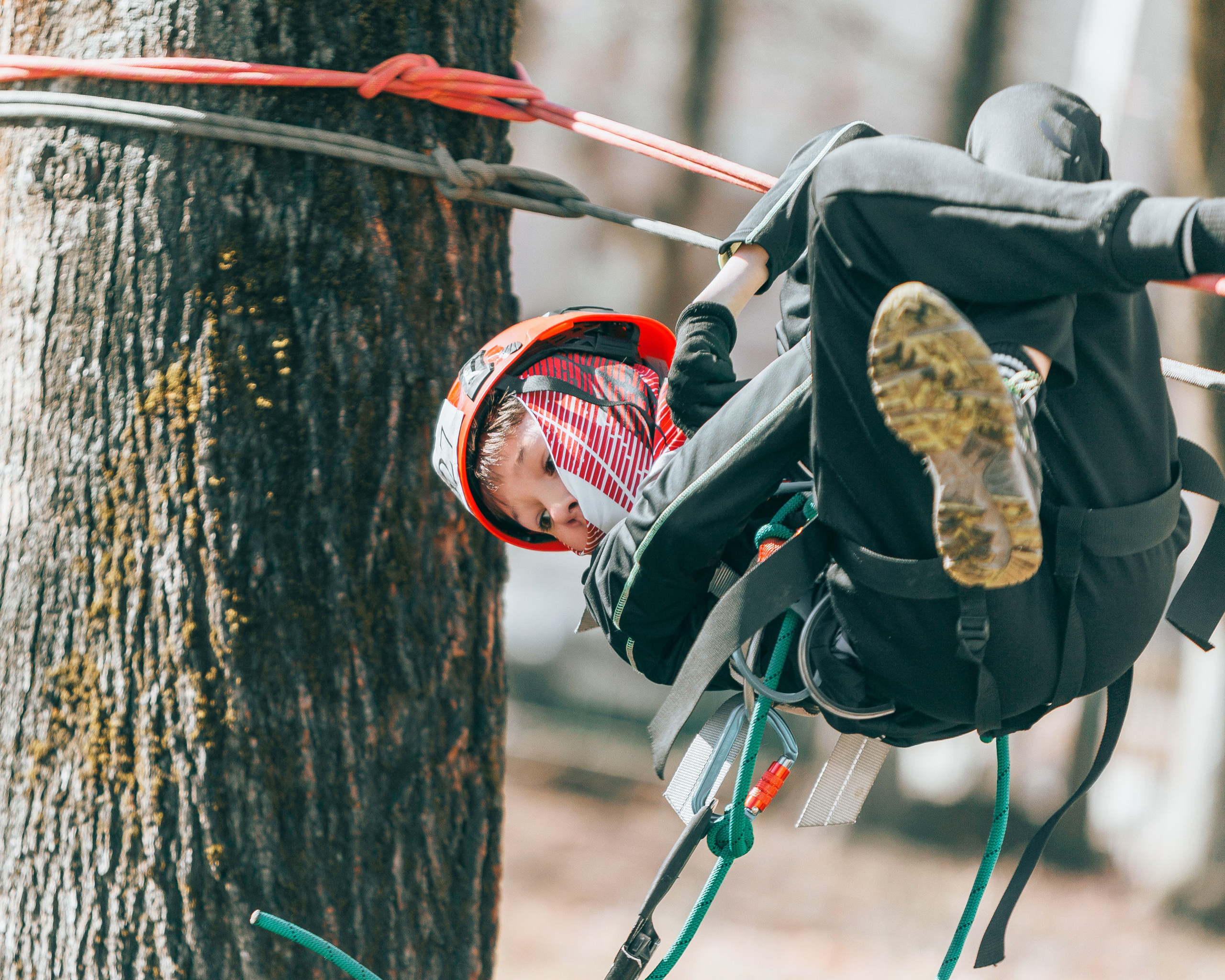 Первенство по спортивному туризму на пешеходных дистанциях. Выпускные альбомы и школьный фотограф в Подольске, Троицке, Щербинке, Москве и Московской области