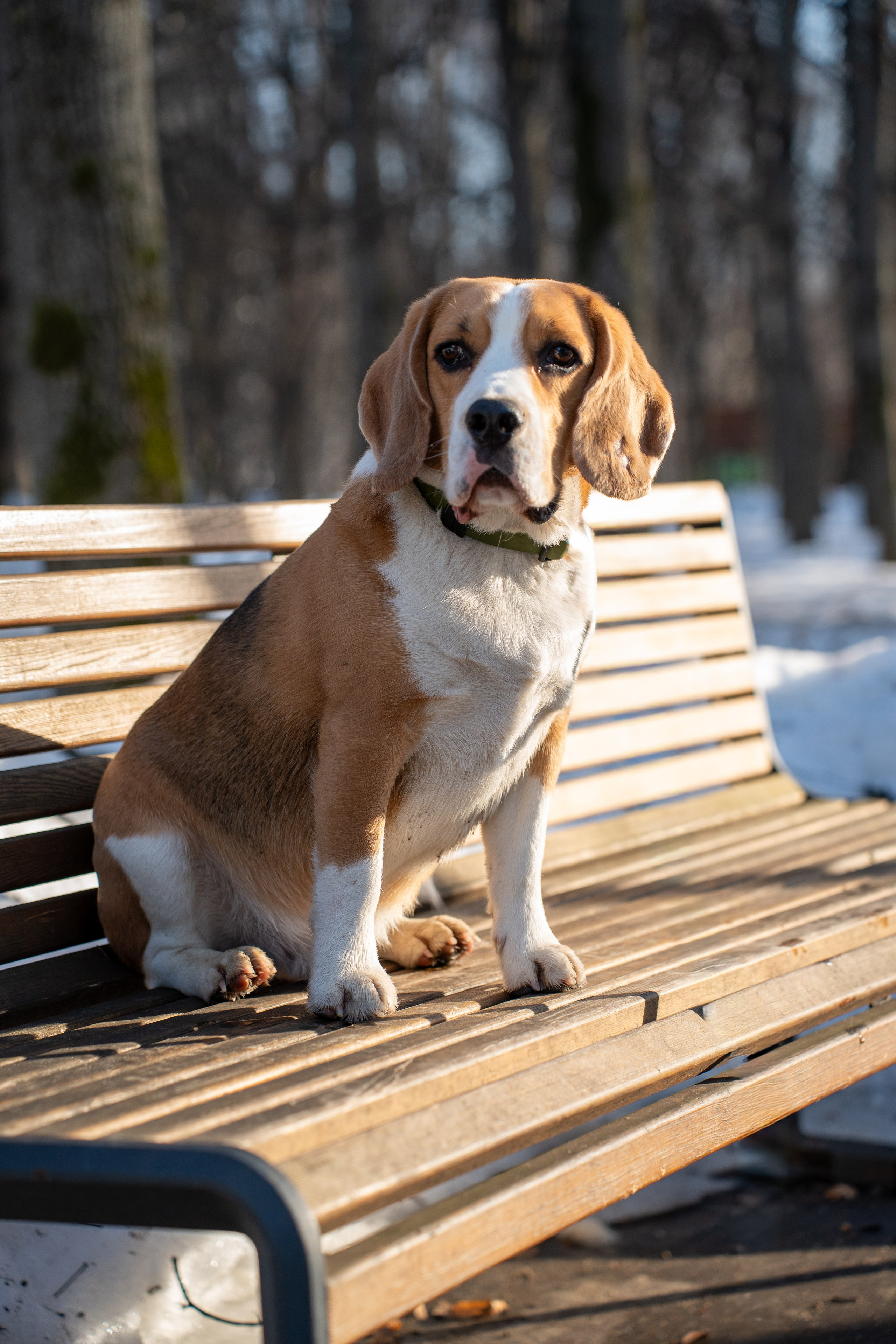 Фотограф Алиса Счастливая | Свадьбы, дети, спорт | Москва