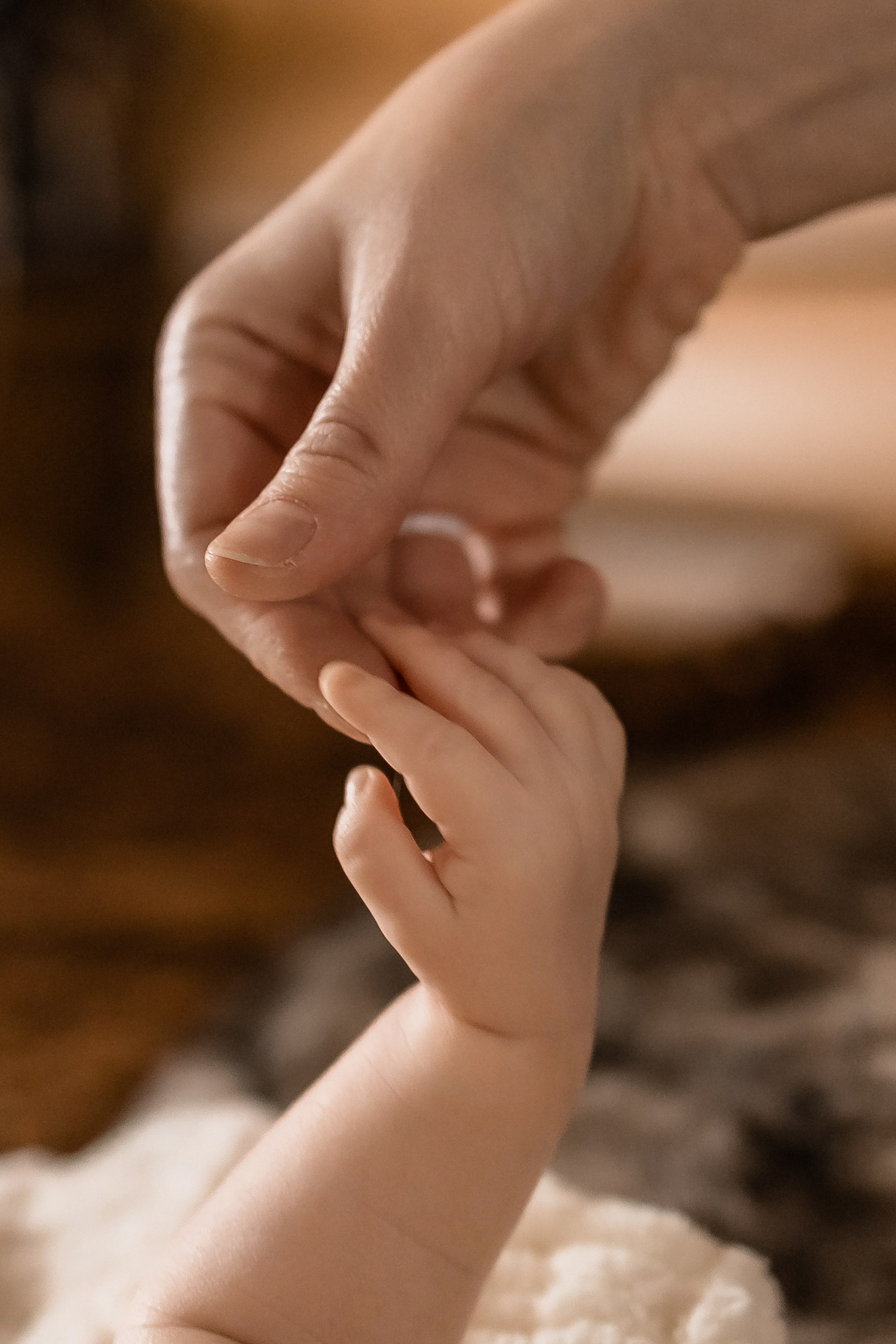 Главная страница