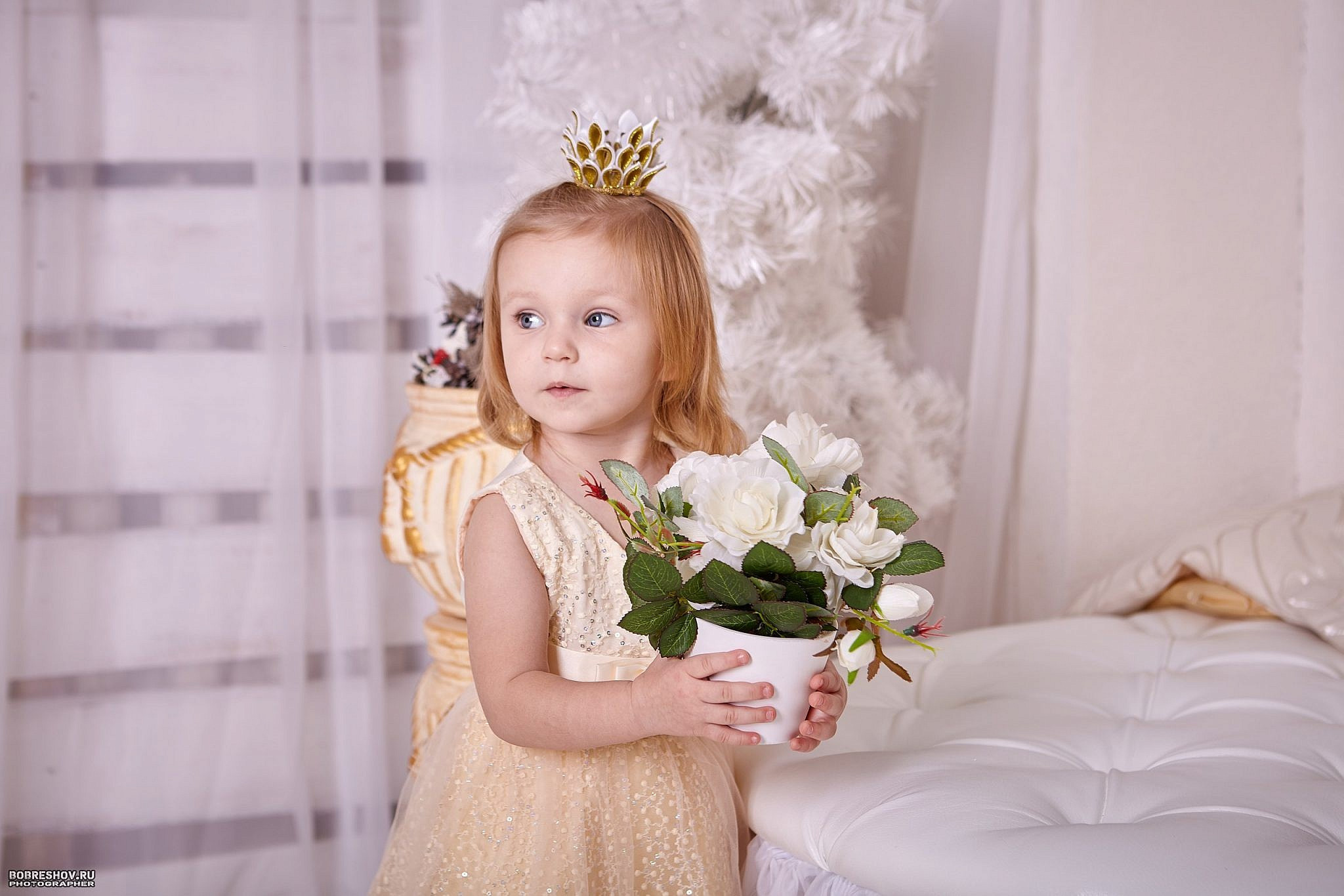 Фотограф в Белгороде - Студийная съемка. Фотограф в Белгороде — Андрей Бобрешов