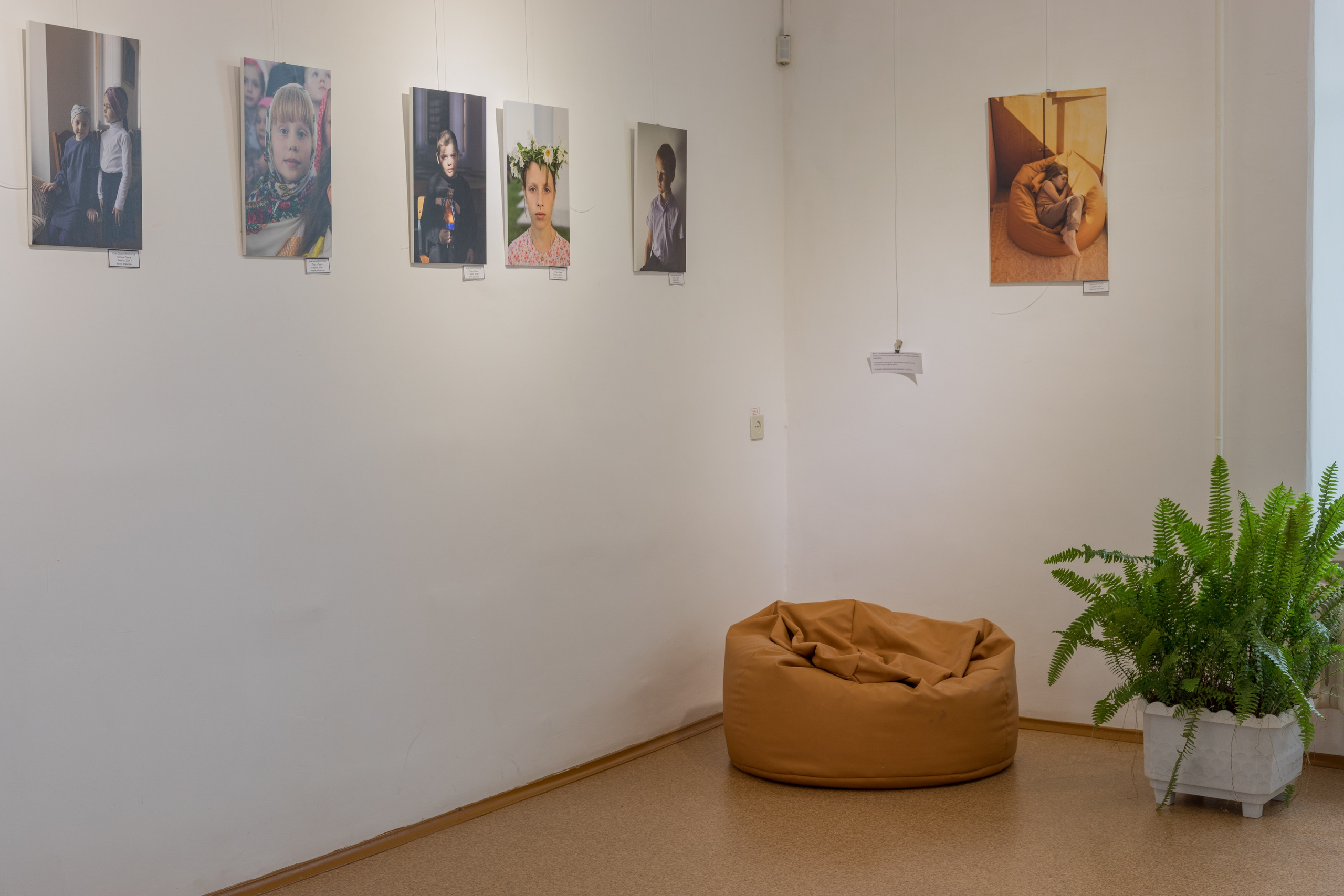 The frog house (2024). Documentary photographer Anton Zdanovich