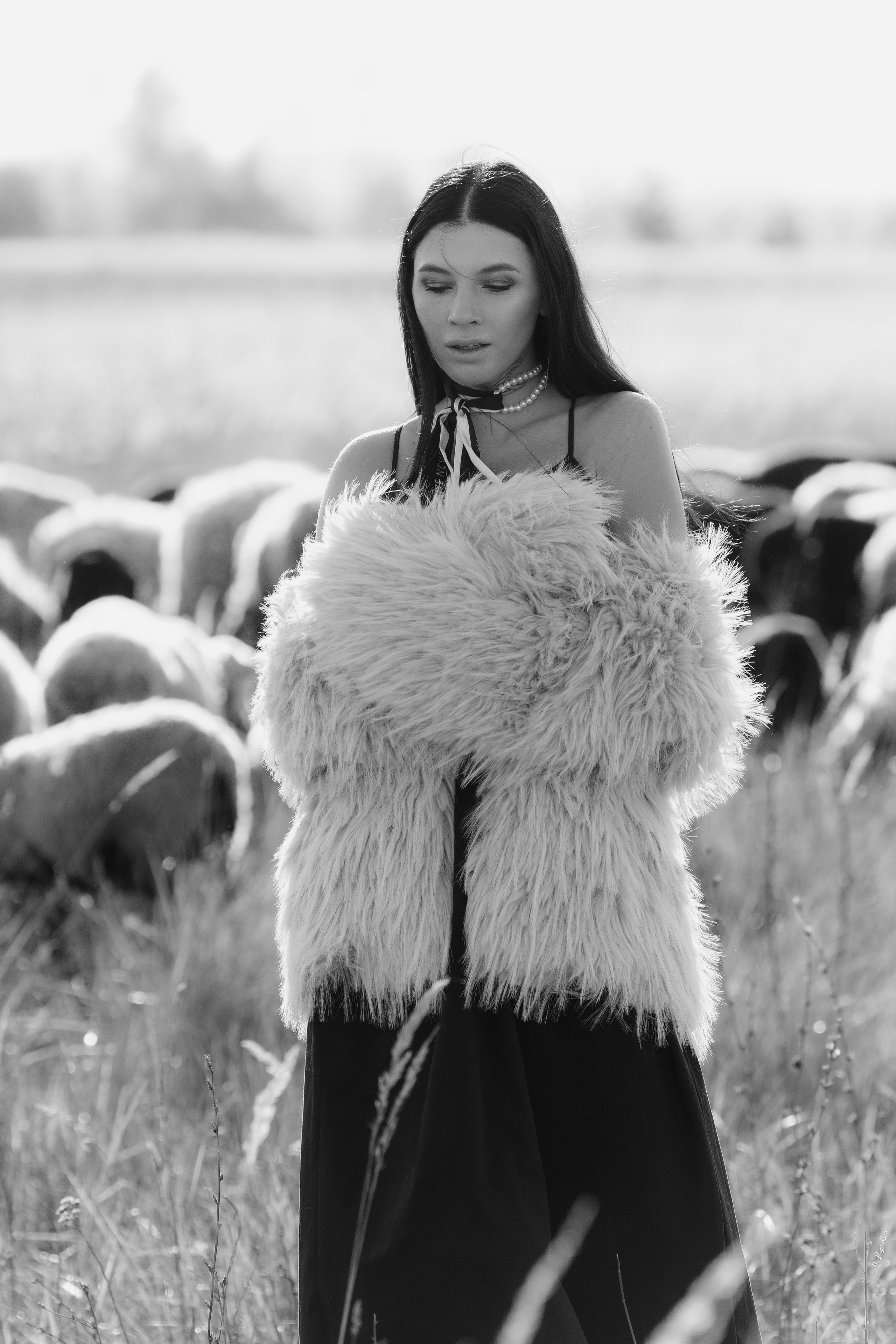 Охота на овец