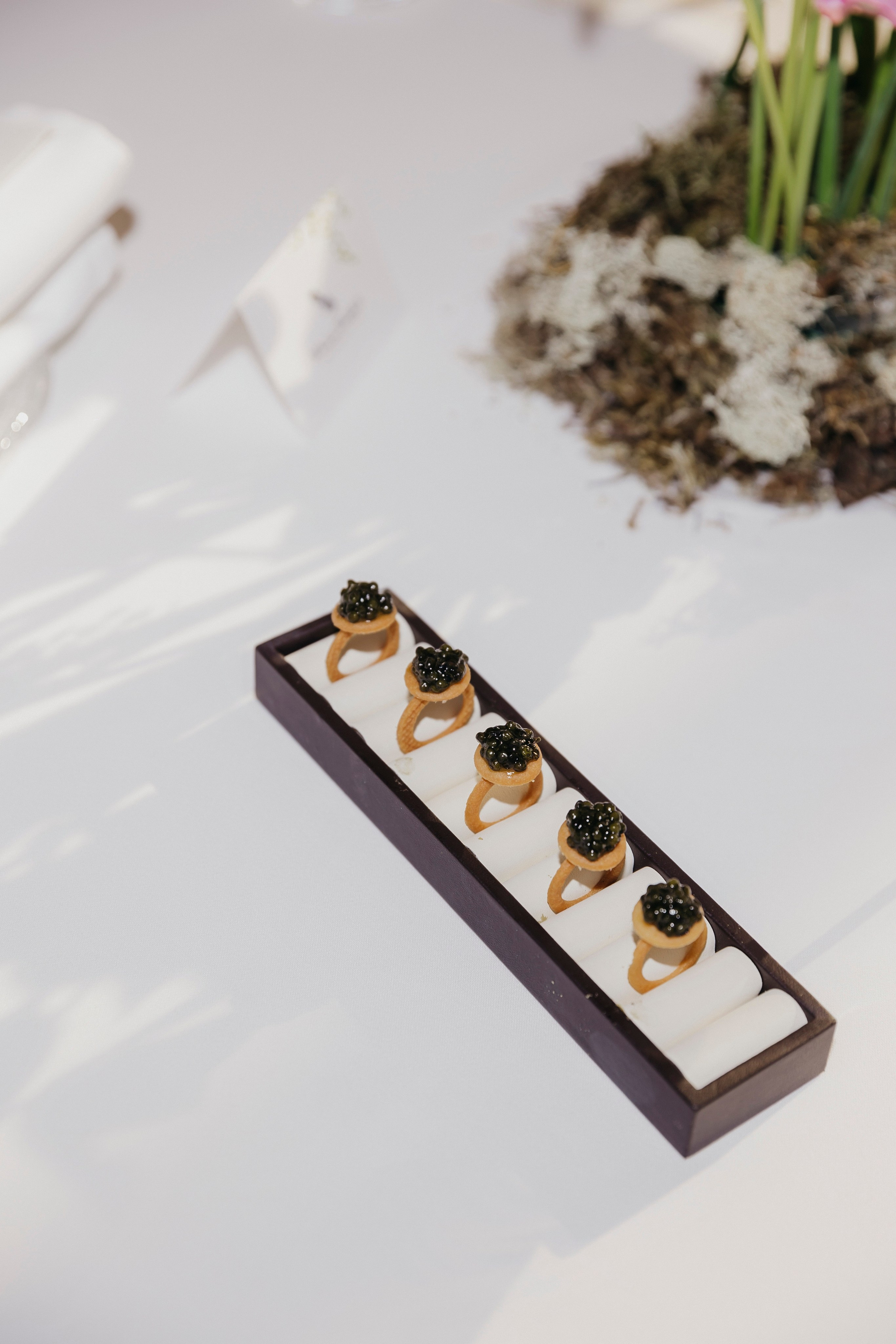 White Rabbit brunch by Irina Zarkova. «Птичка на проводе»: информационный портал в Москве