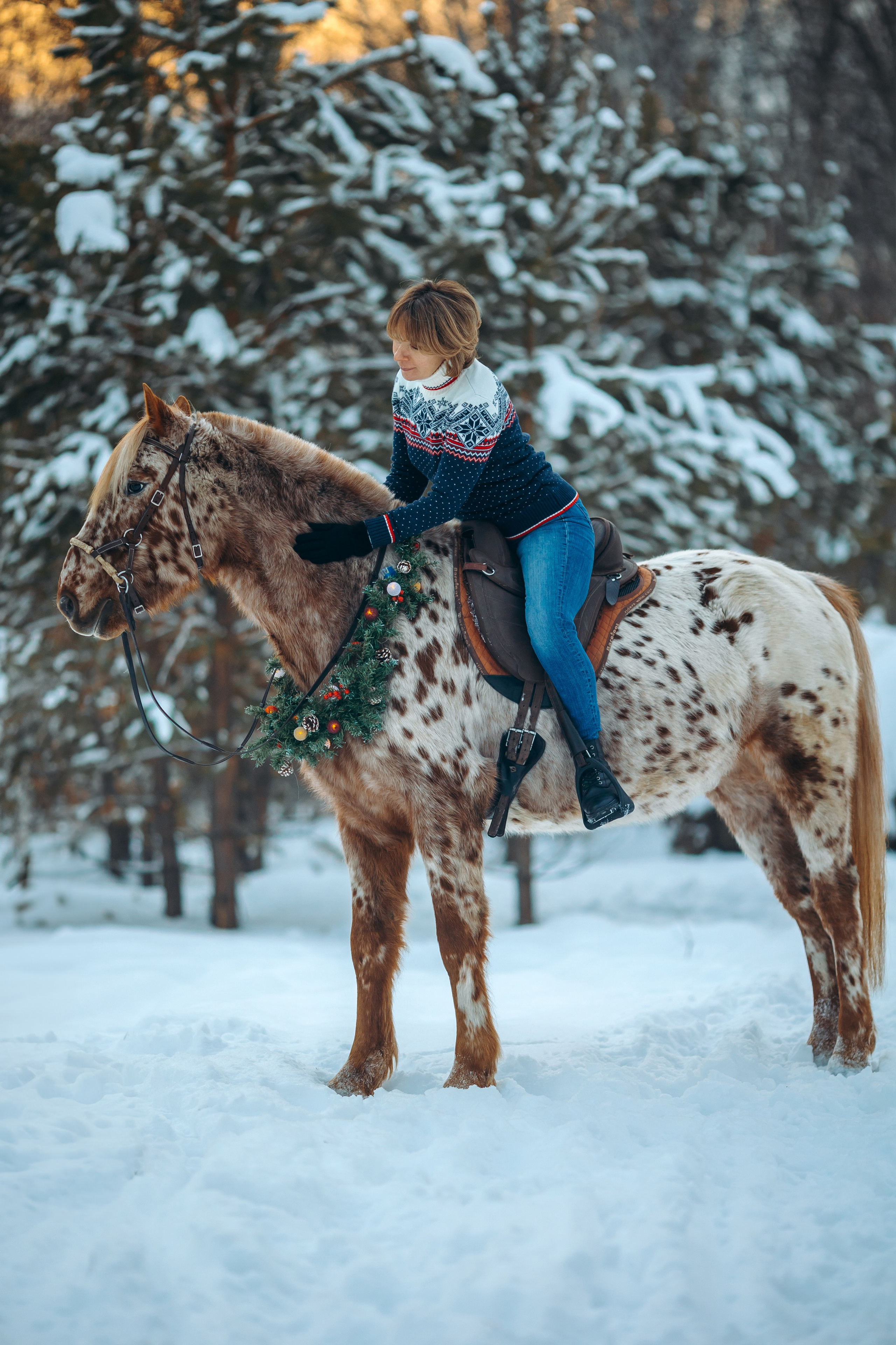 Тариф новогодний 2024. Анна Молчанова конный фотограф в Тюмени | фотосессии с лошадьми Тюмень