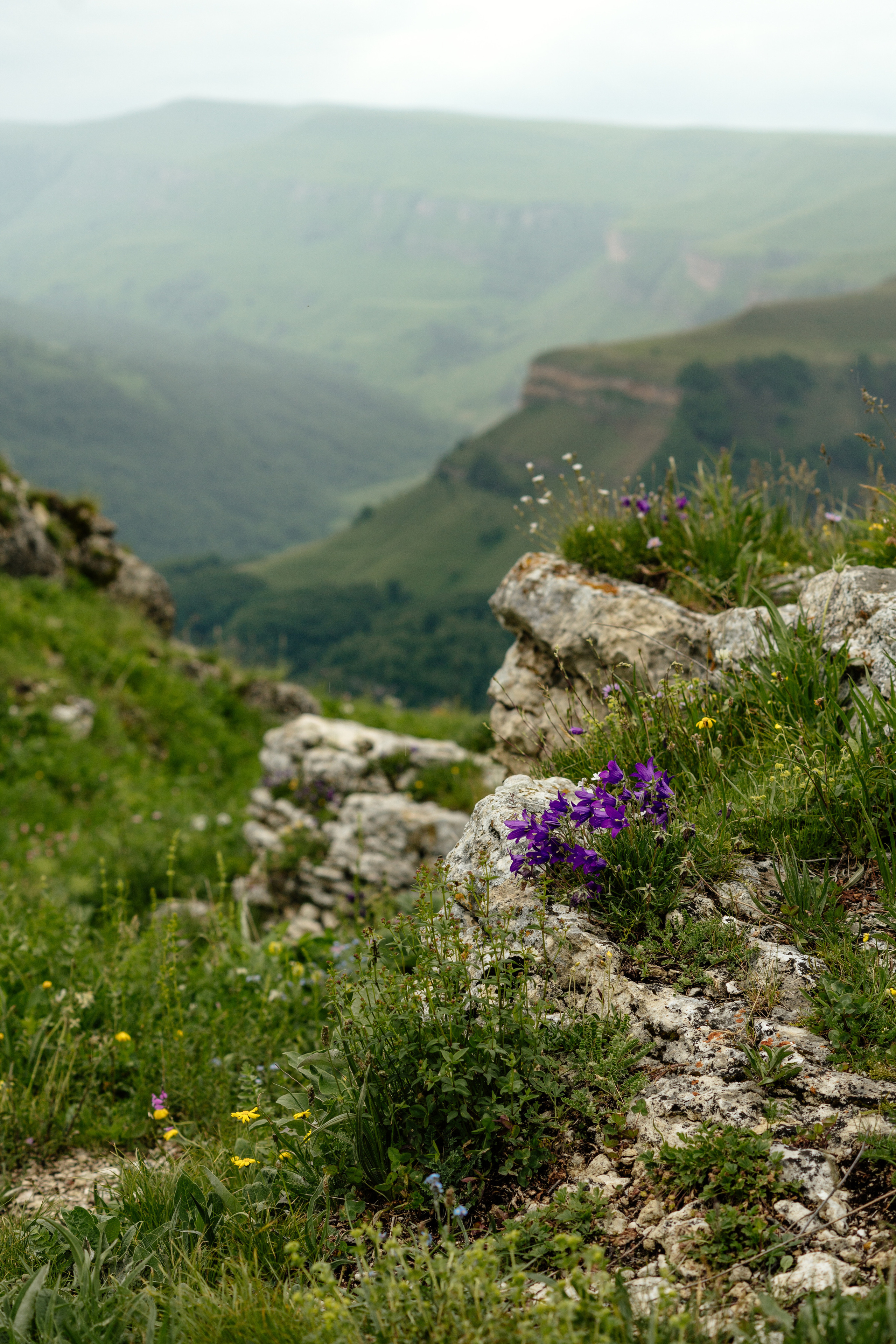 Туры «Бермамыт и Джилы-су». Семейный фотограф Пятигорск, Кисловодск, Эльбрус. Марина Вяликова