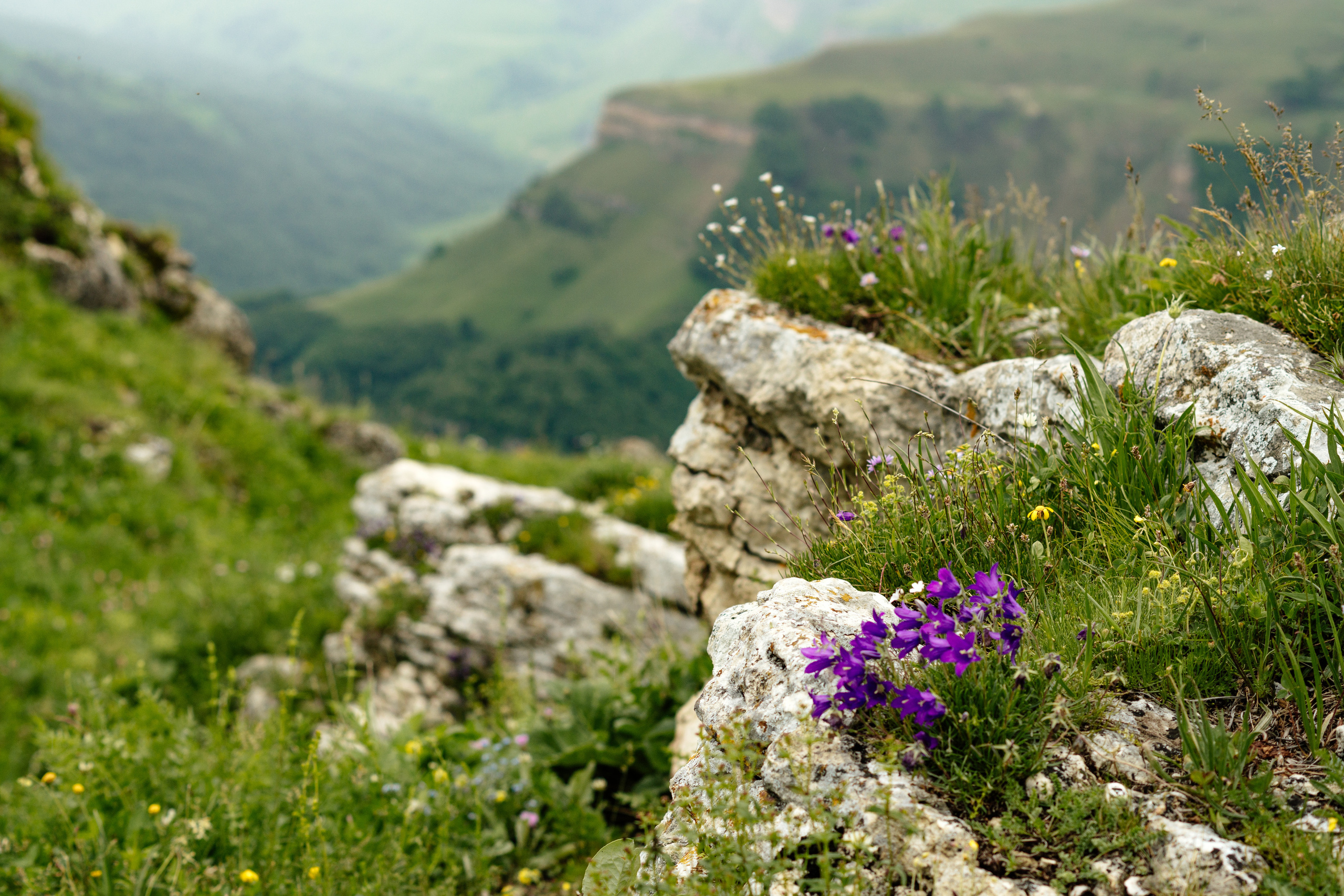 Туры «Бермамыт и Джилы-су». Семейный фотограф Пятигорск, Кисловодск, Эльбрус. Марина Вяликова