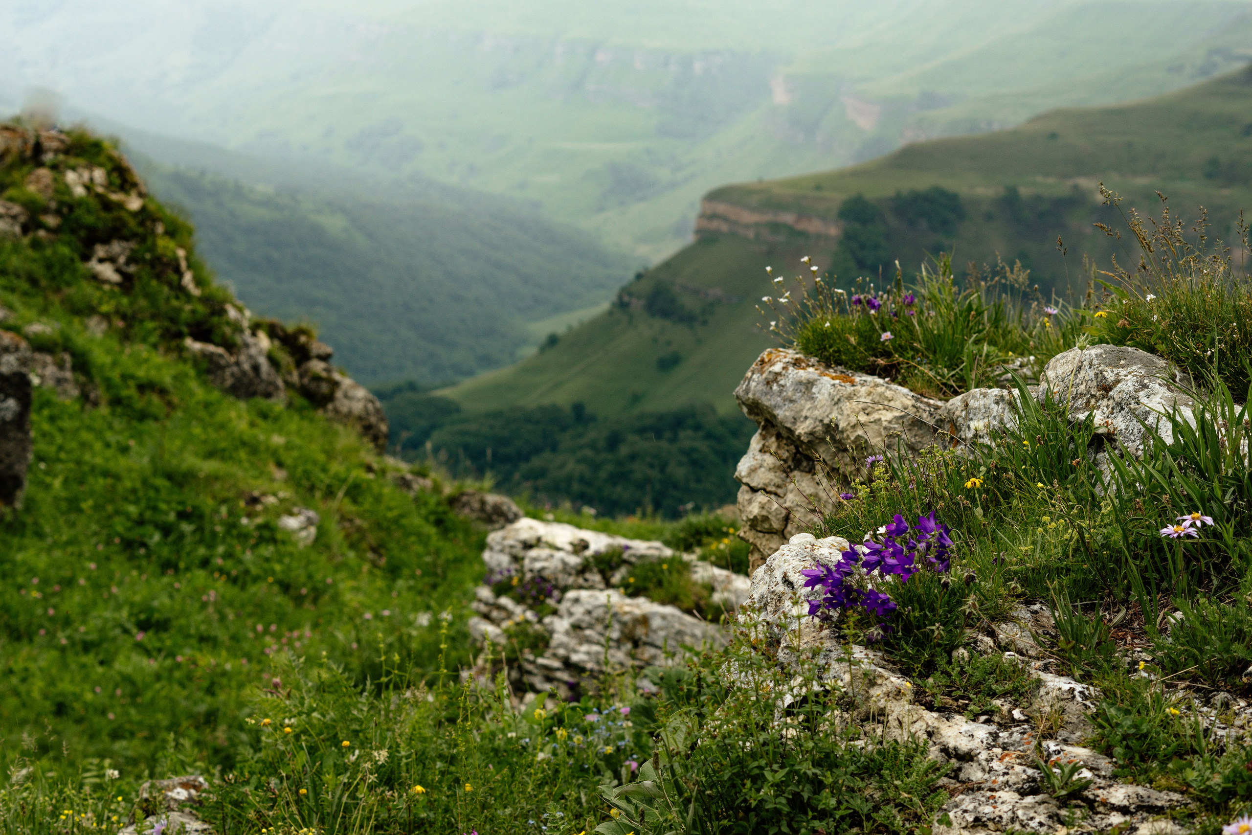 Туры «Бермамыт и Джилы-су». Семейный фотограф Пятигорск, Кисловодск, Эльбрус. Марина Вяликова