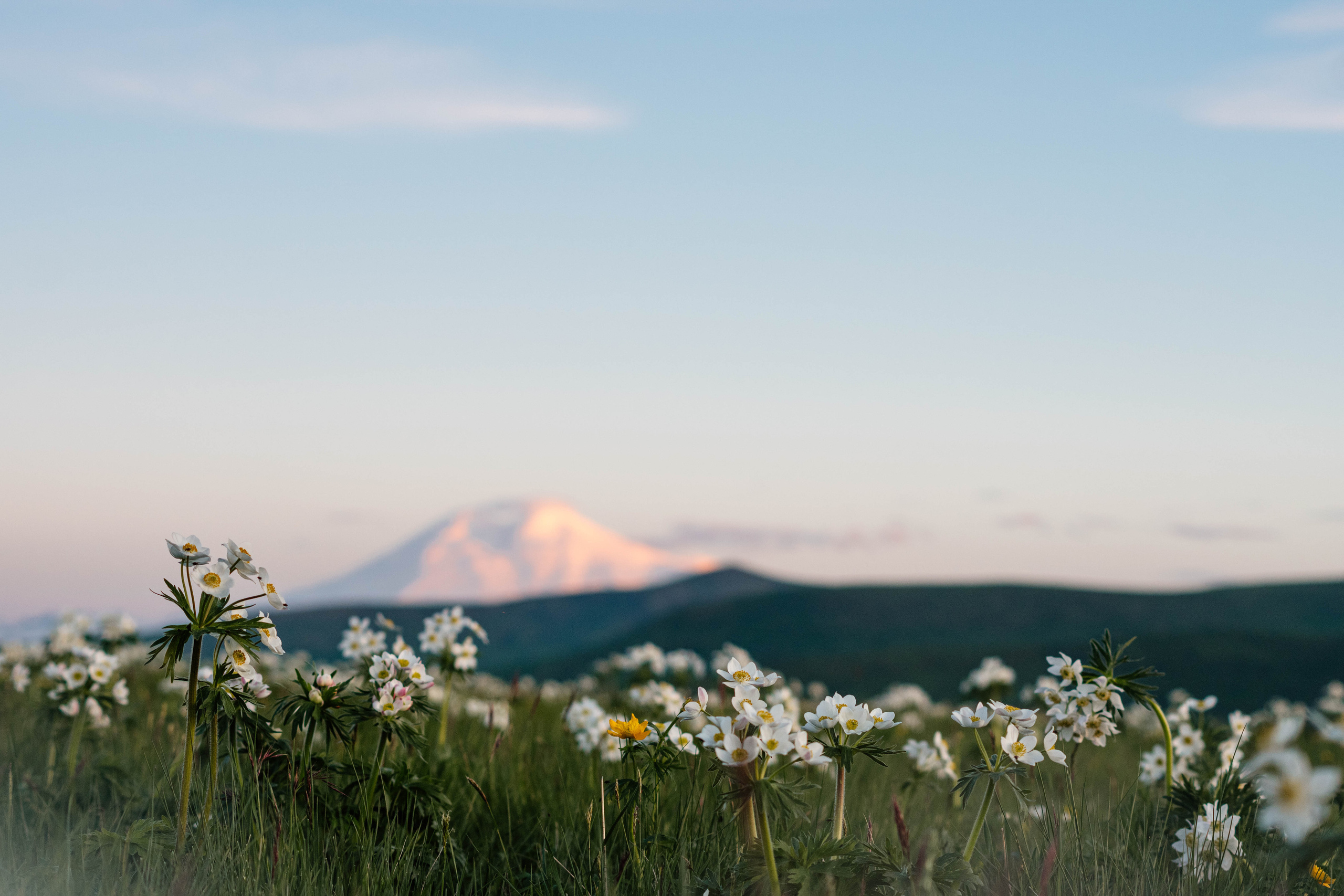 Туры «Бермамыт и Джилы-су». Семейный фотограф Пятигорск, Кисловодск, Эльбрус. Марина Вяликова