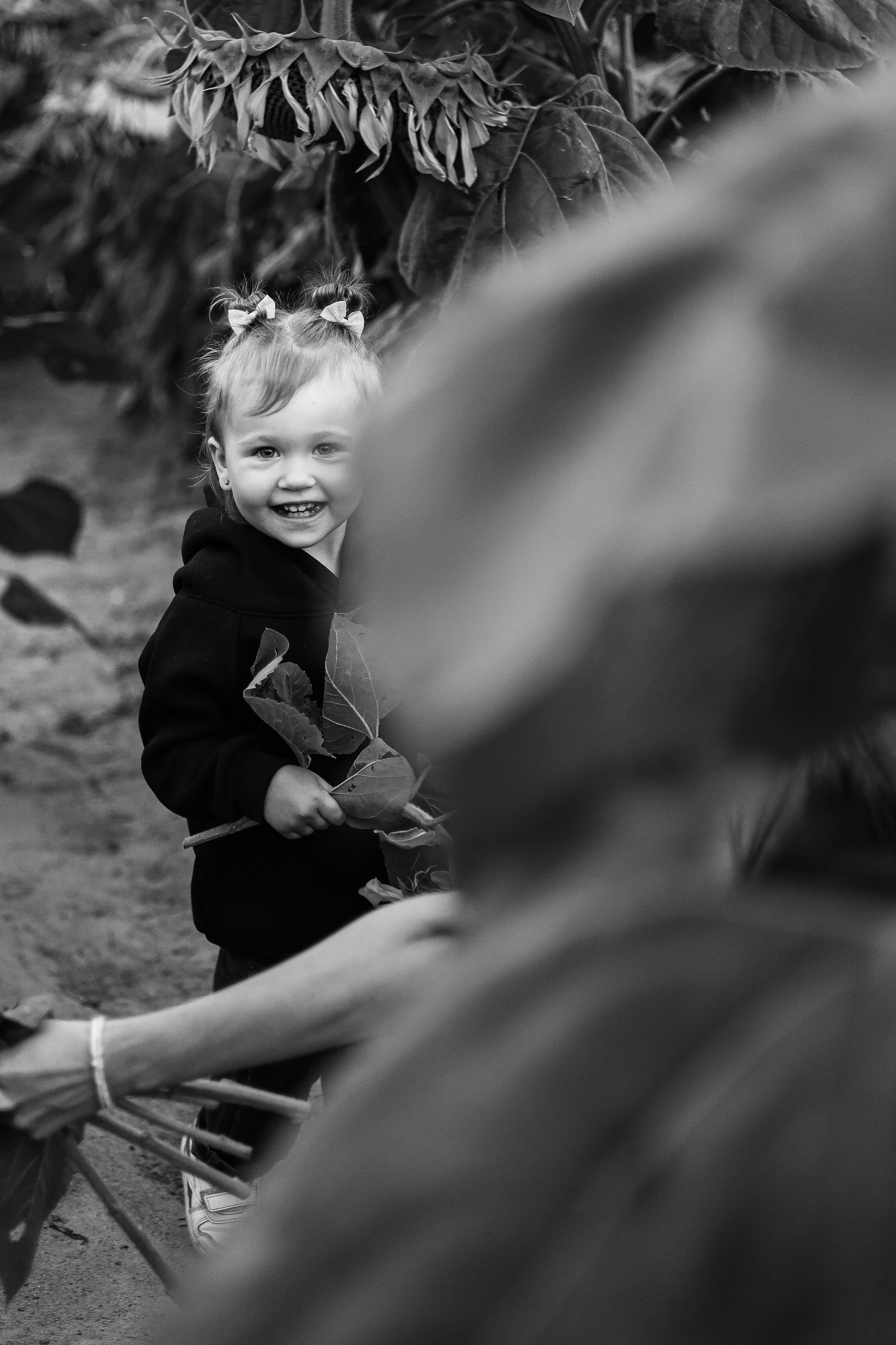 Подсолнухи 🌻. Мария Бриль семейный и детский Lifestyle фотограф Москва