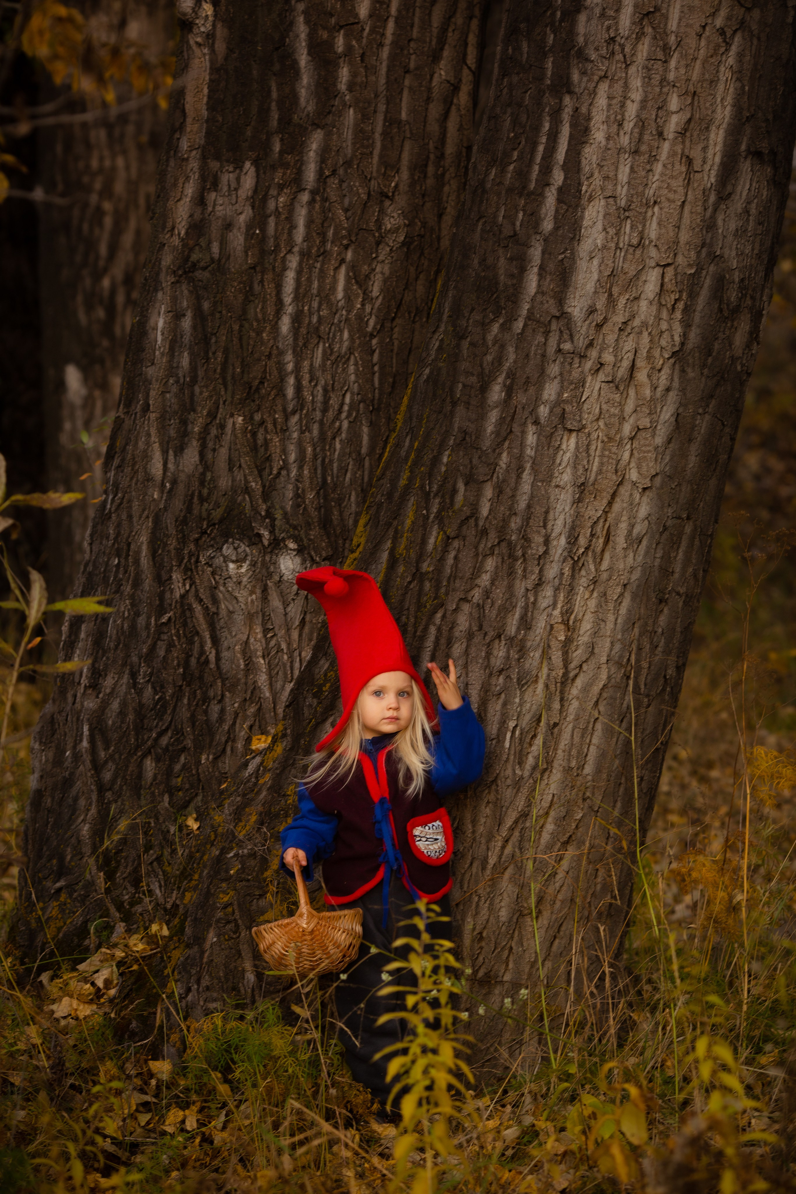 Лесные гномы