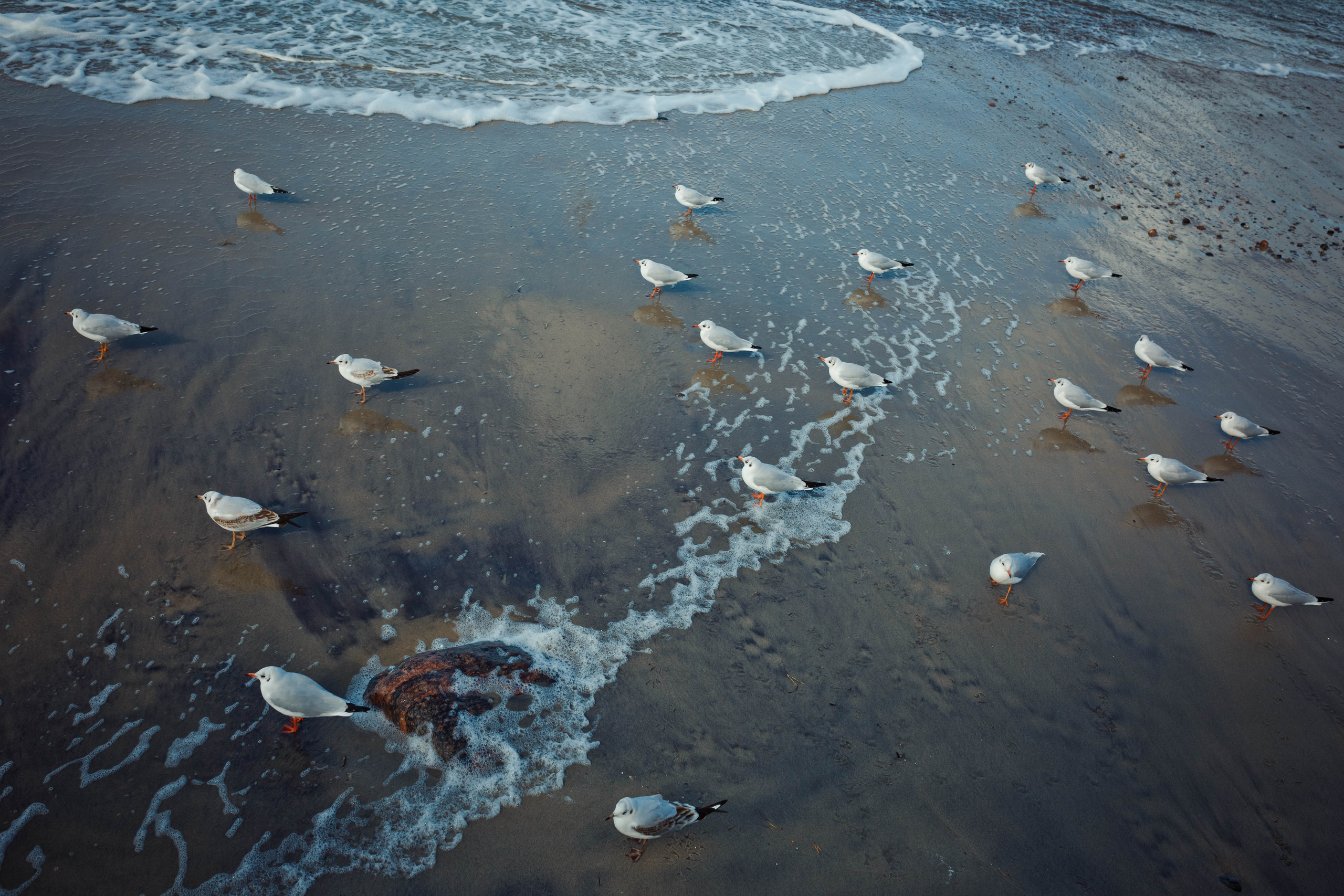 Фотограф Зеленоградск Красильникова Елена