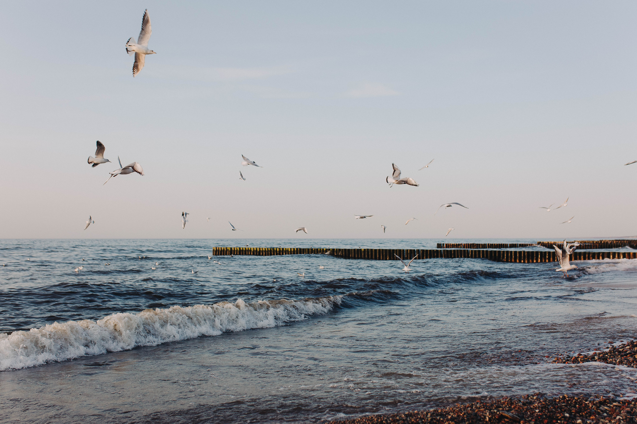 Фотограф Зеленоградск Красильникова Елена