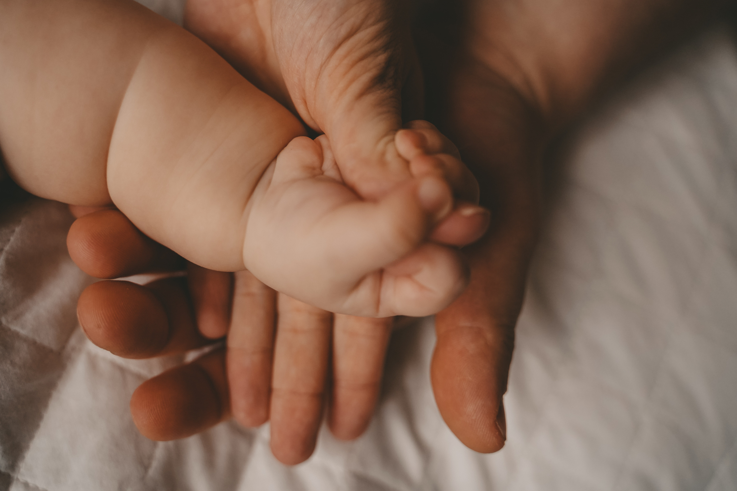 Семейная история. Семейный и женский фотограф в Краснодаре Анастасия Приймак