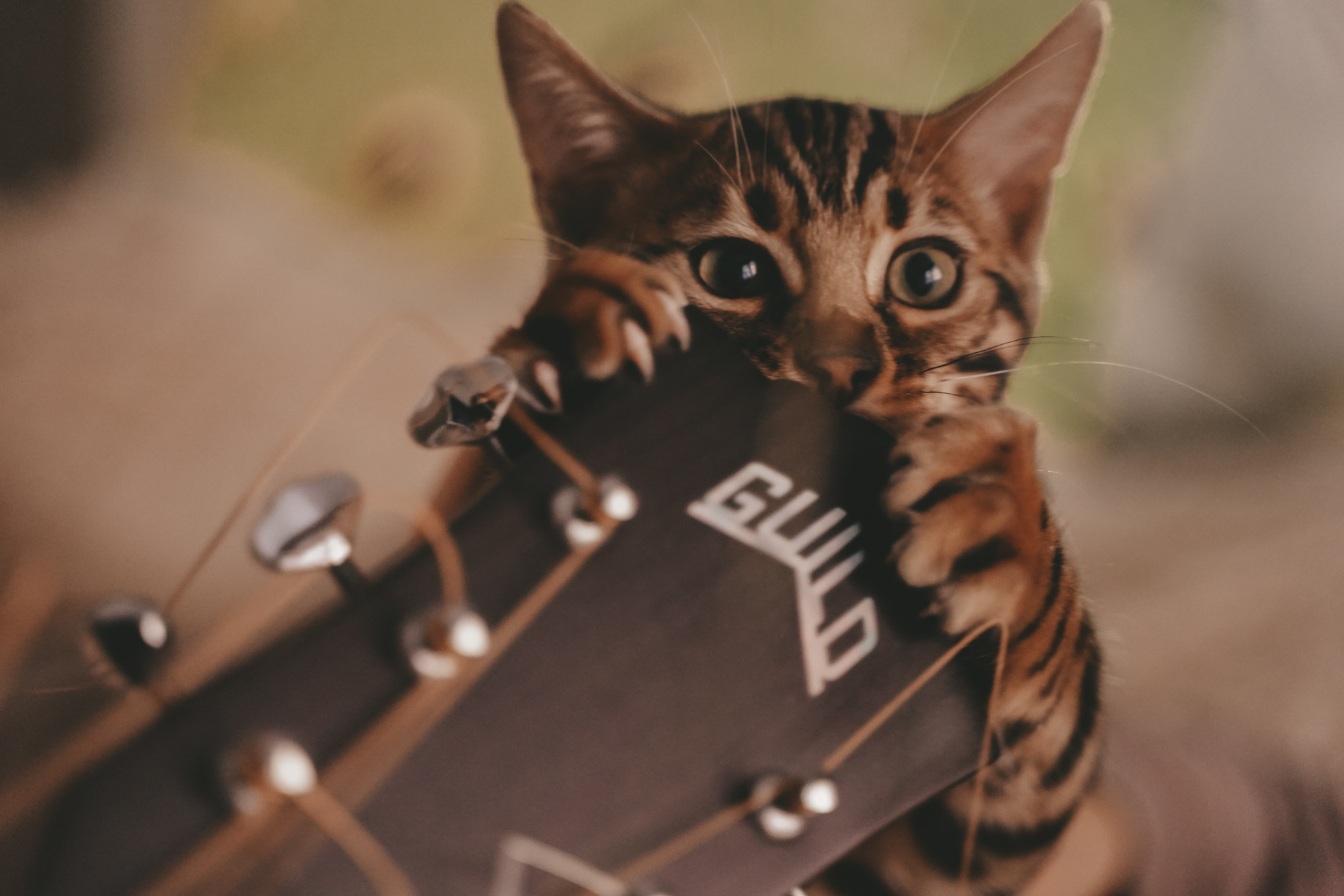 Лика и Стас 💕. Семейный и женский фотограф в Краснодаре Анастасия Приймак